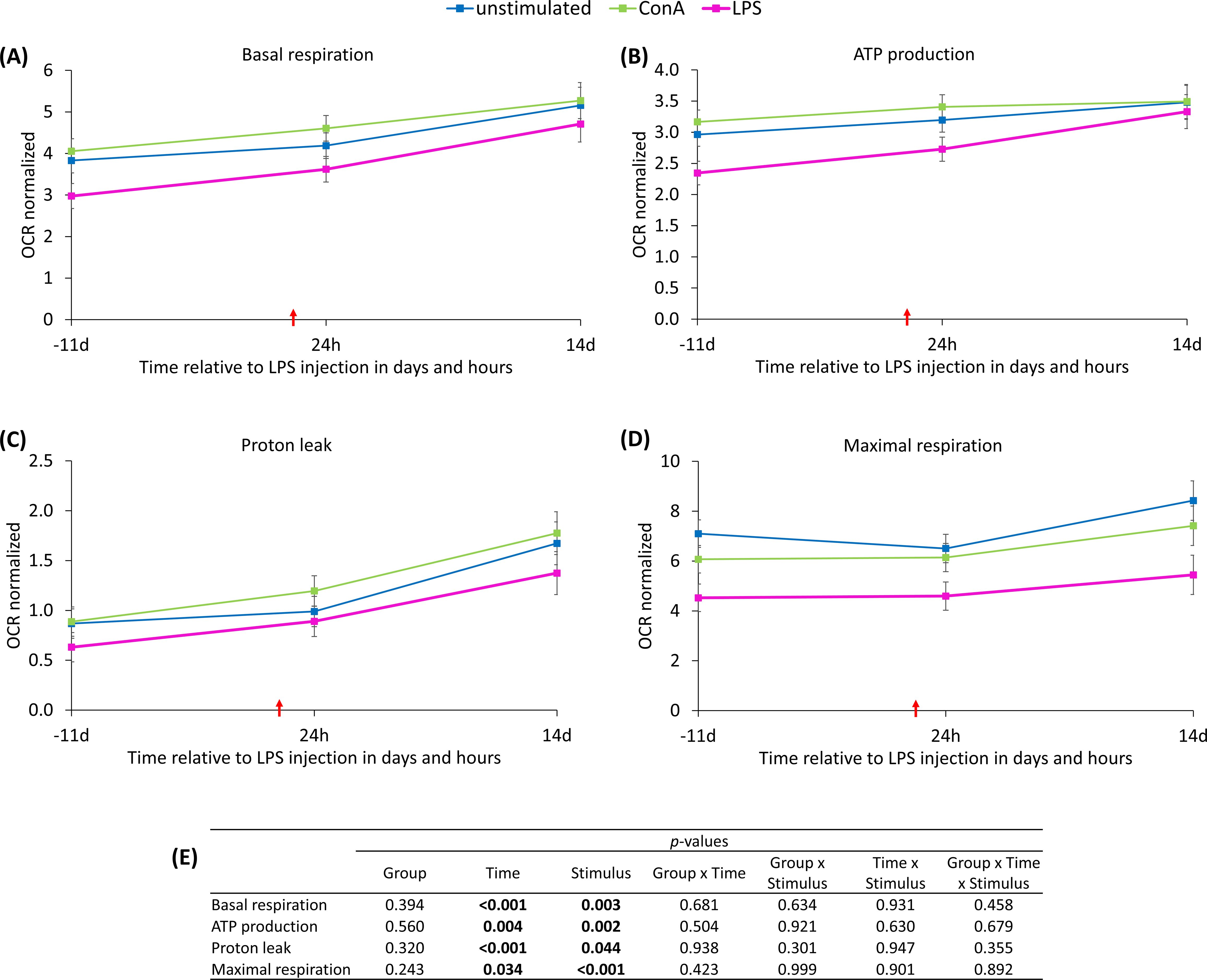 Charts show normalized oxygen consumption rate (OCR) for basal respiration (A), ATP production (B), proton leak (C), and maximal respiration (D) over time relative to LPS injection. Lines represent unstimulated, ConA, and LPS conditions. Panel (E) lists p-values for groups based on factors like time, stimulus, and their interactions.