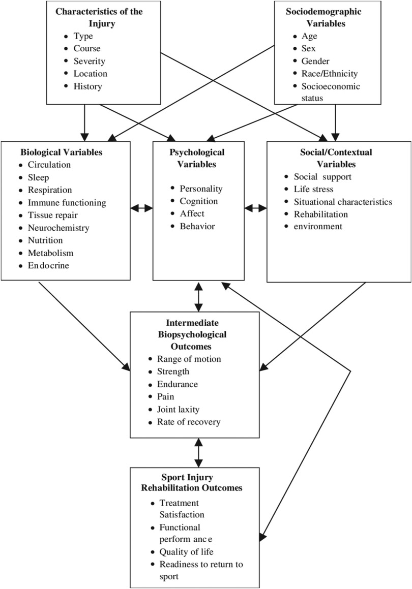 Flowchart illustrating the relationship between various factors affecting sport injury rehabilitation outcomes. It starts with characteristics of the injury and sociodemographic variables, leading to biological, psychological, and social/contextual variables. These influence intermediate biopsychological outcomes, which then impact sport injury rehabilitation outcomes, including treatment satisfaction and readiness to return to sport.