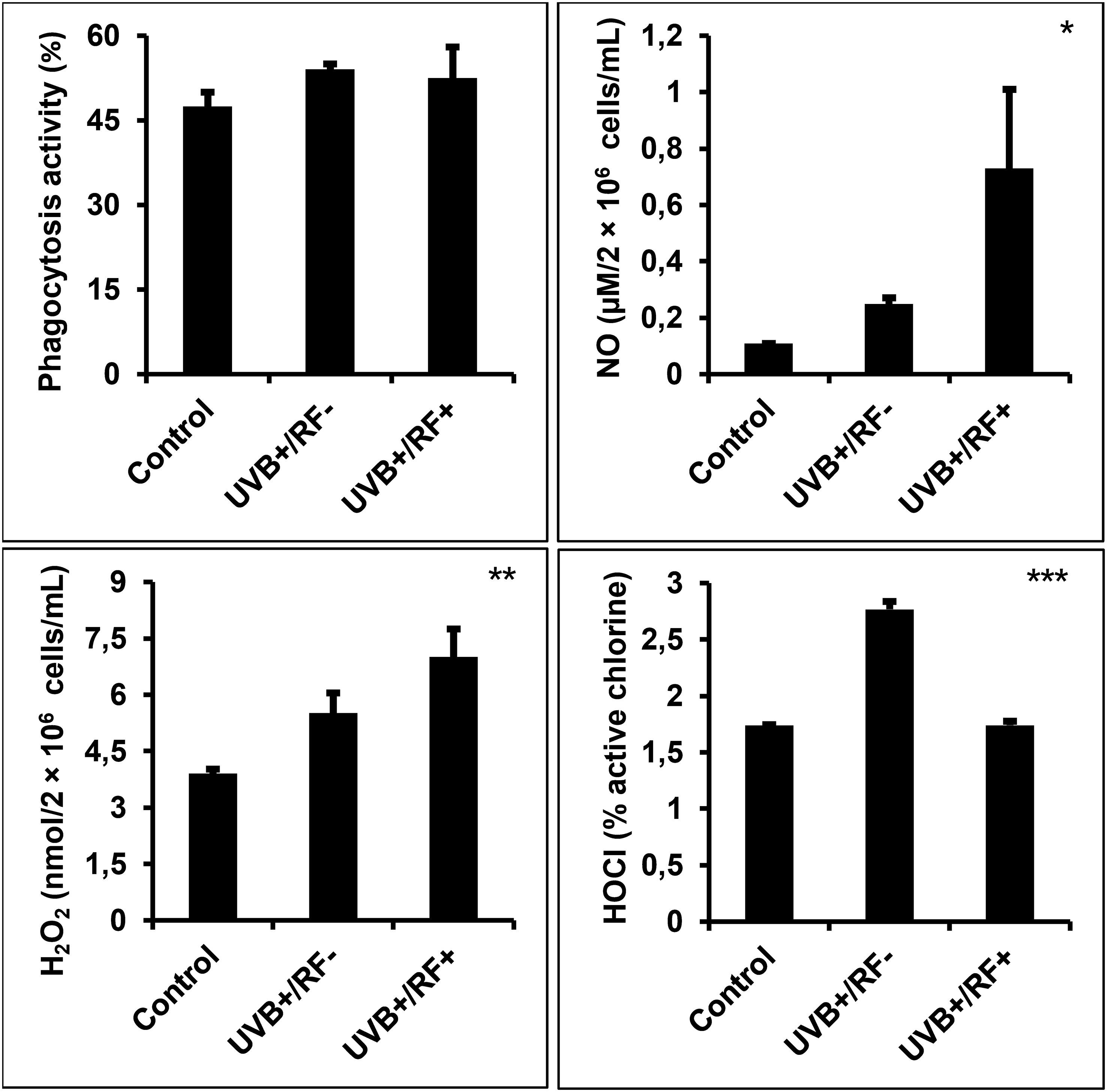 Four bar graphs display various immune response metrics across three conditions: Control, UVB+RF-, and UVB+RF+. The top left graph shows phagocytosis activity, remaining consistent across conditions. The top right graph shows nitric oxide (NO) levels, increasing significantly in UVB+RF+. The bottom left graph shows hydrogen peroxide (H₂O₂) levels, also rising significantly in UVB+RF+. The bottom right graph shows hypochlorous acid (HOCl) levels, increasing in UVB+RF- and then decreasing slightly in UVB+RF+. Asterisks indicate statistical significance.