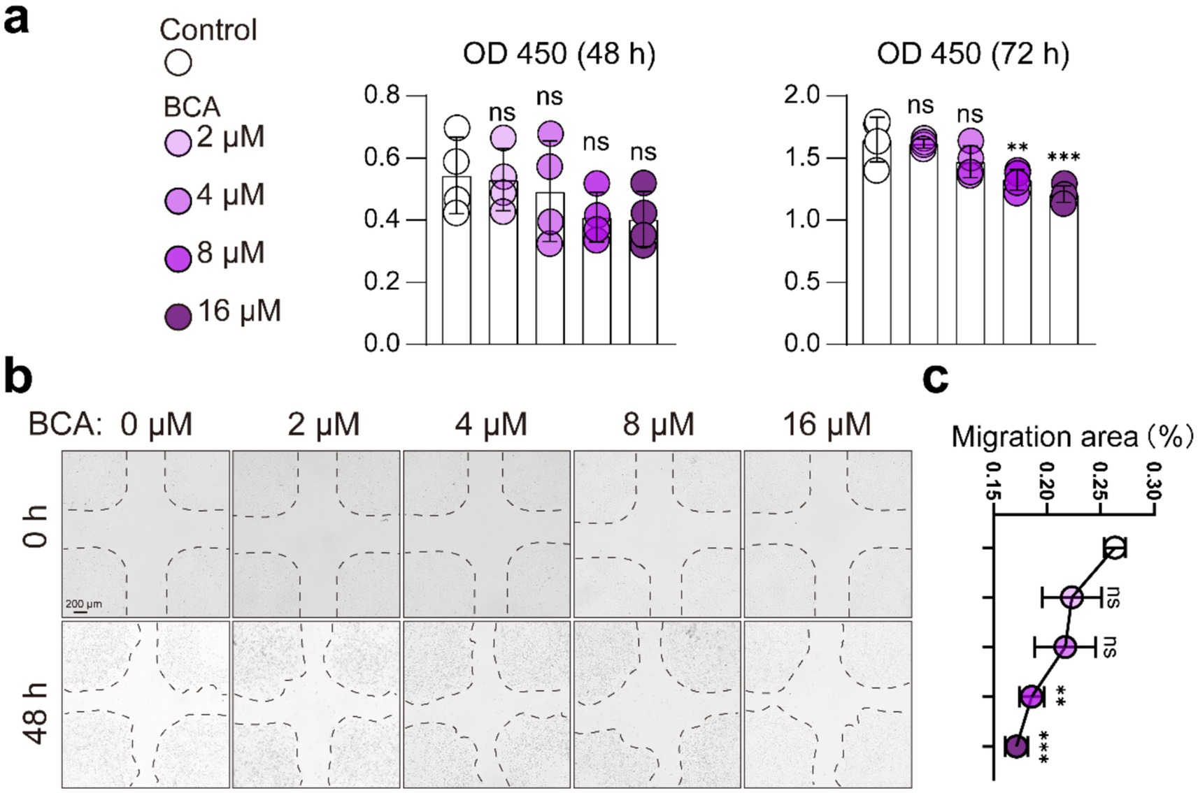 Panel a shows bar graphs of OD 450 measurements at 48 and 72 hours for control and BCA-treated groups at concentrations of 2, 4, 8, and 16 micromolar, with significant differences noted at 72 hours for higher concentrations. Panel b displays microscopic images of cell migration at 0 and 48 hours under different BCA concentrations. Panel c presents a line graph of migration area percentages, indicating significant reductions at higher BCA concentrations.