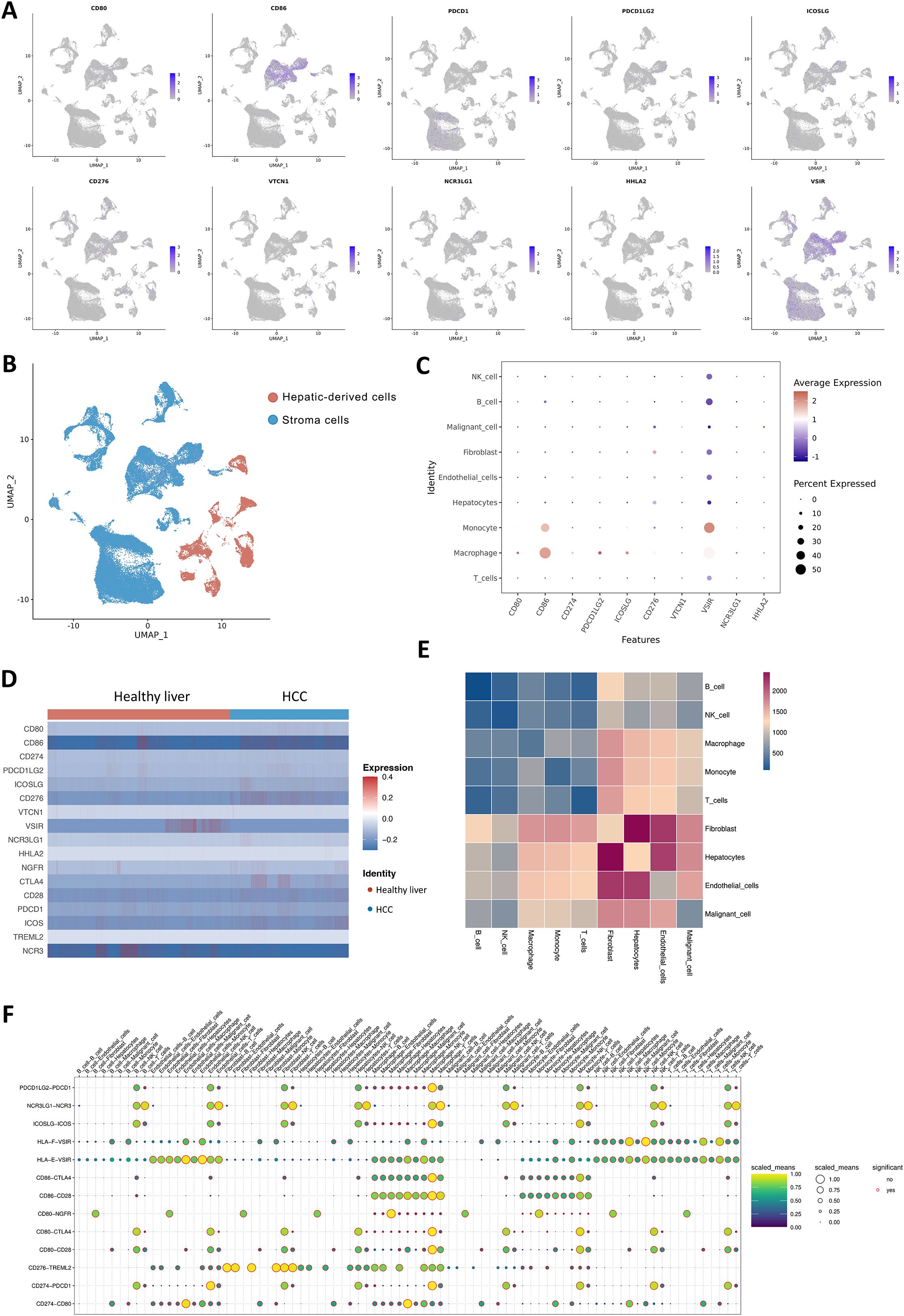 Graphs and heatmaps display various cell expression data. Panel A shows UMAP plots of multiple genes. Panel B depicts UMAP of hepatic and stroma cells. Panel C is a dot plot indicating average and percent expression across cell types. Panel D presents a heatmap comparing expression levels in healthy versus HCC liver. Panel E shows a heatmap of feature counts across cell types. Panel F is a dot plot of interaction scores between different genes. Each panel highlights specific gene expressions and interactions within liver cell studies.