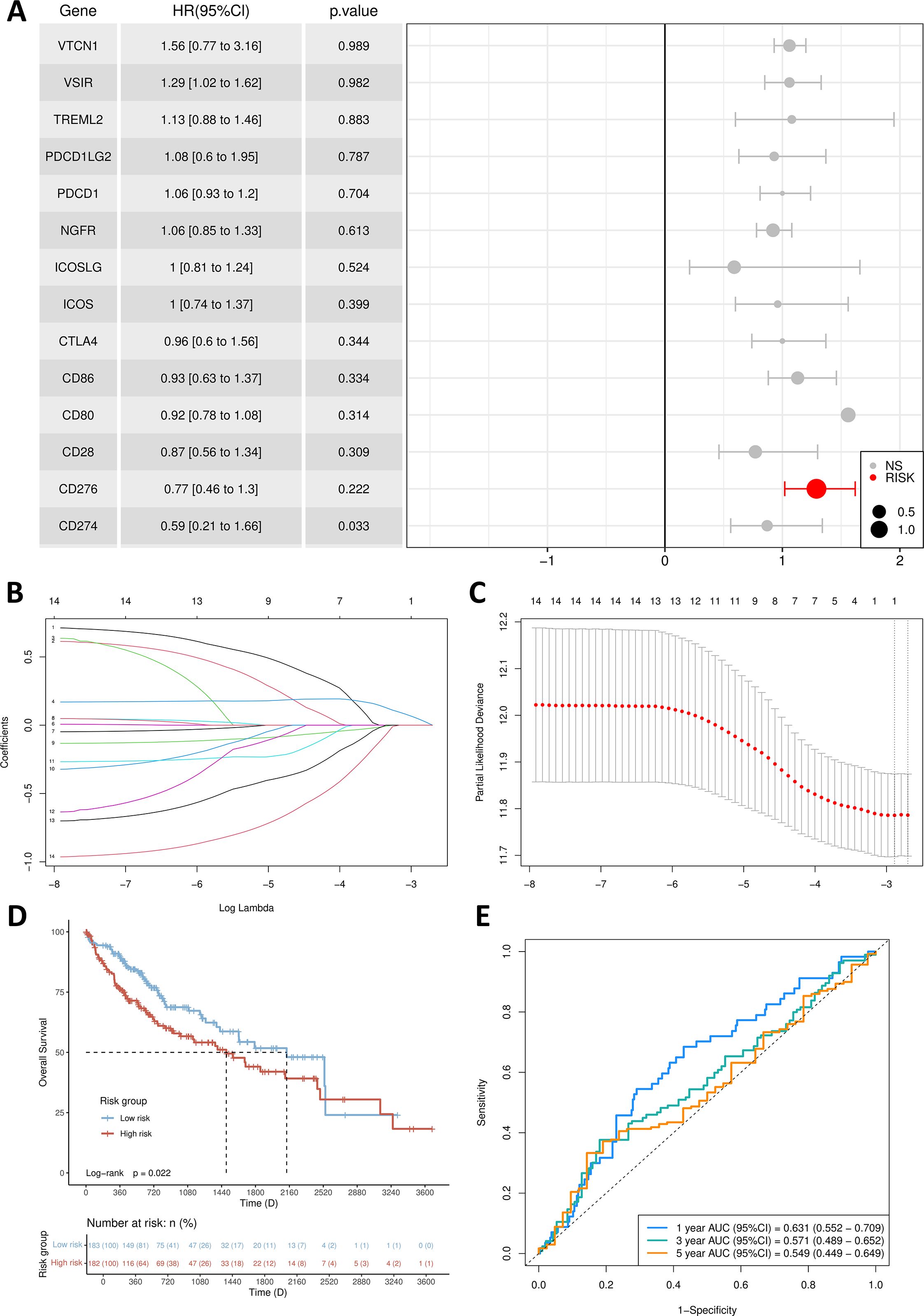 Figure A shows a forest plot of hazard ratios for various genes. Figure B presents a LASSO coefficient plot against log lambda. Figure C depicts partial likelihood deviance for LASSO regression. Figure D shows a Kaplan-Meier survival curve comparing low and high-risk groups. Figure E illustrates a ROC curve with AUC values for 1, 3, and 5-year predictions.