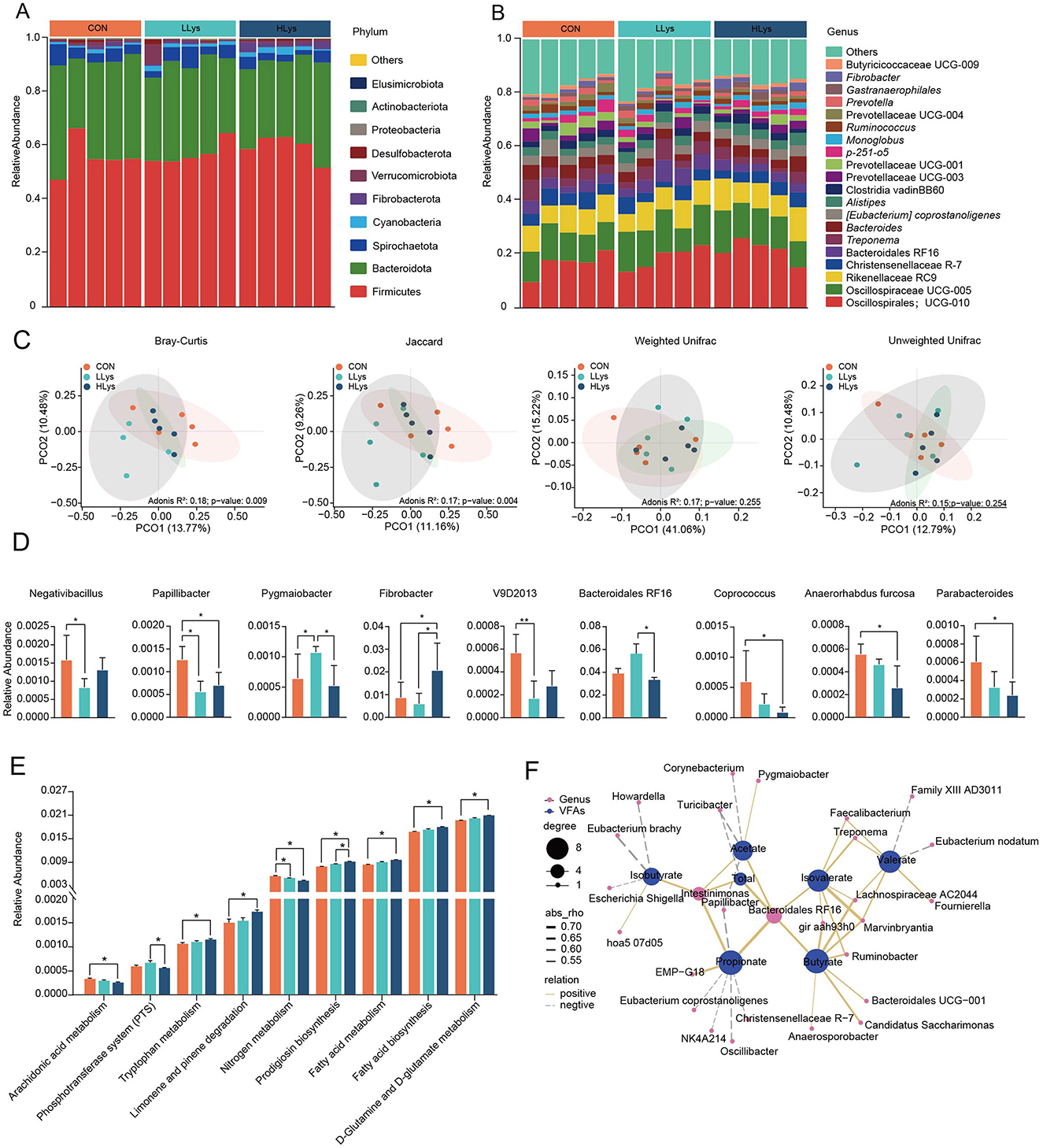 Microbiome analysis showing community composition and functional analysis of fecal bacteria in three groups. Panels A and B display the community composition at phylum and genus levels, respectively. Panel C shows beta diversity analysis. Panel D presents differential bacterial genera among groups. Panel E shows differential bacterial functions at KEGG level 3. Panel F depicts correlation analysis between bacterial relative abundance and volatile fatty acids, with node size and color variations indicating relationships.