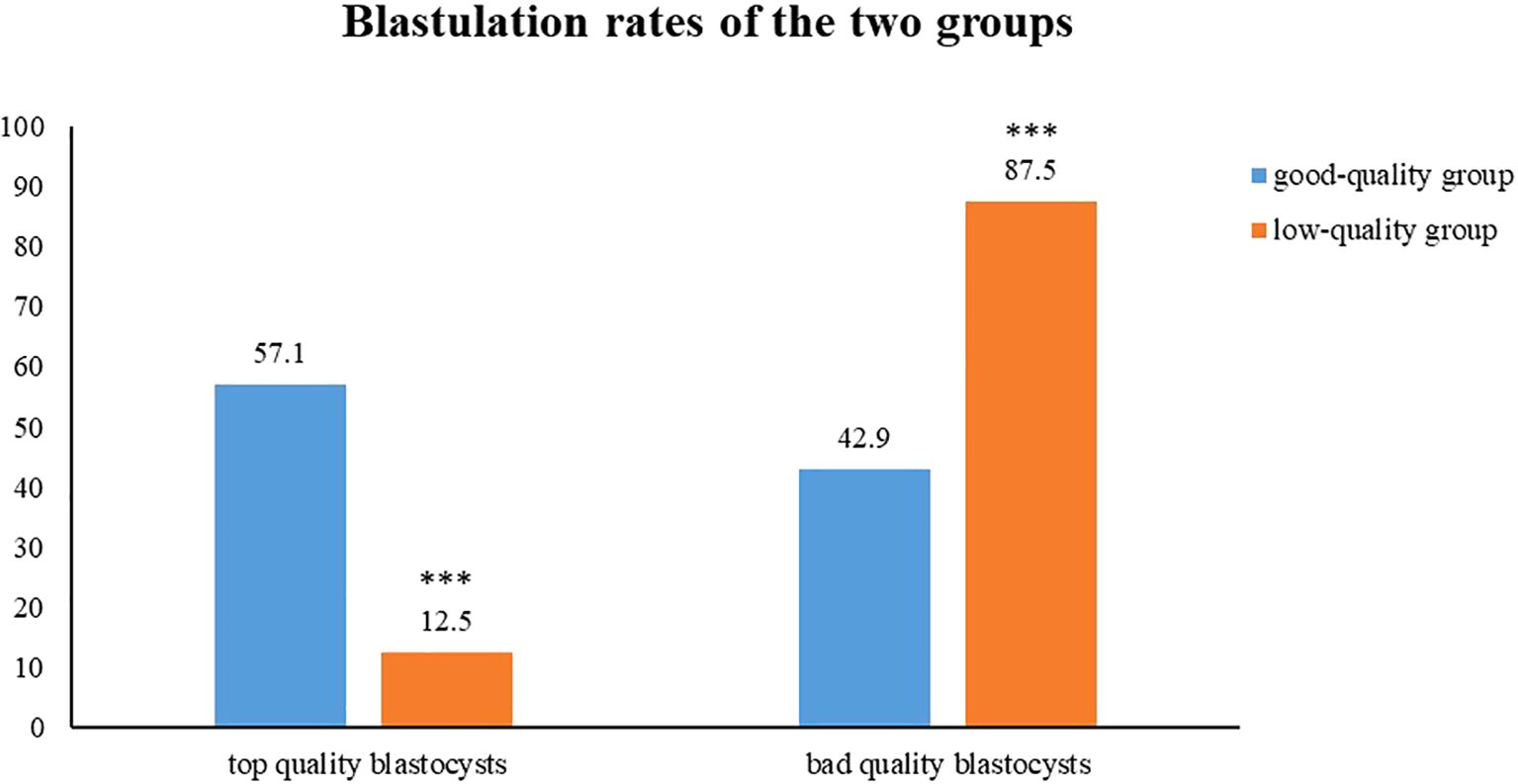 Comparison of the proportions of high-quality blastocysts and low-quality blastocysts between the two groups. The rate of top quality blastocysts shows 57.1% in the good-quality group (blue) and 12.5% for the low-quality group (orange). The rate of bad quality blastocysts shows 42.9% for good-quality and 87.5% for low-quality.