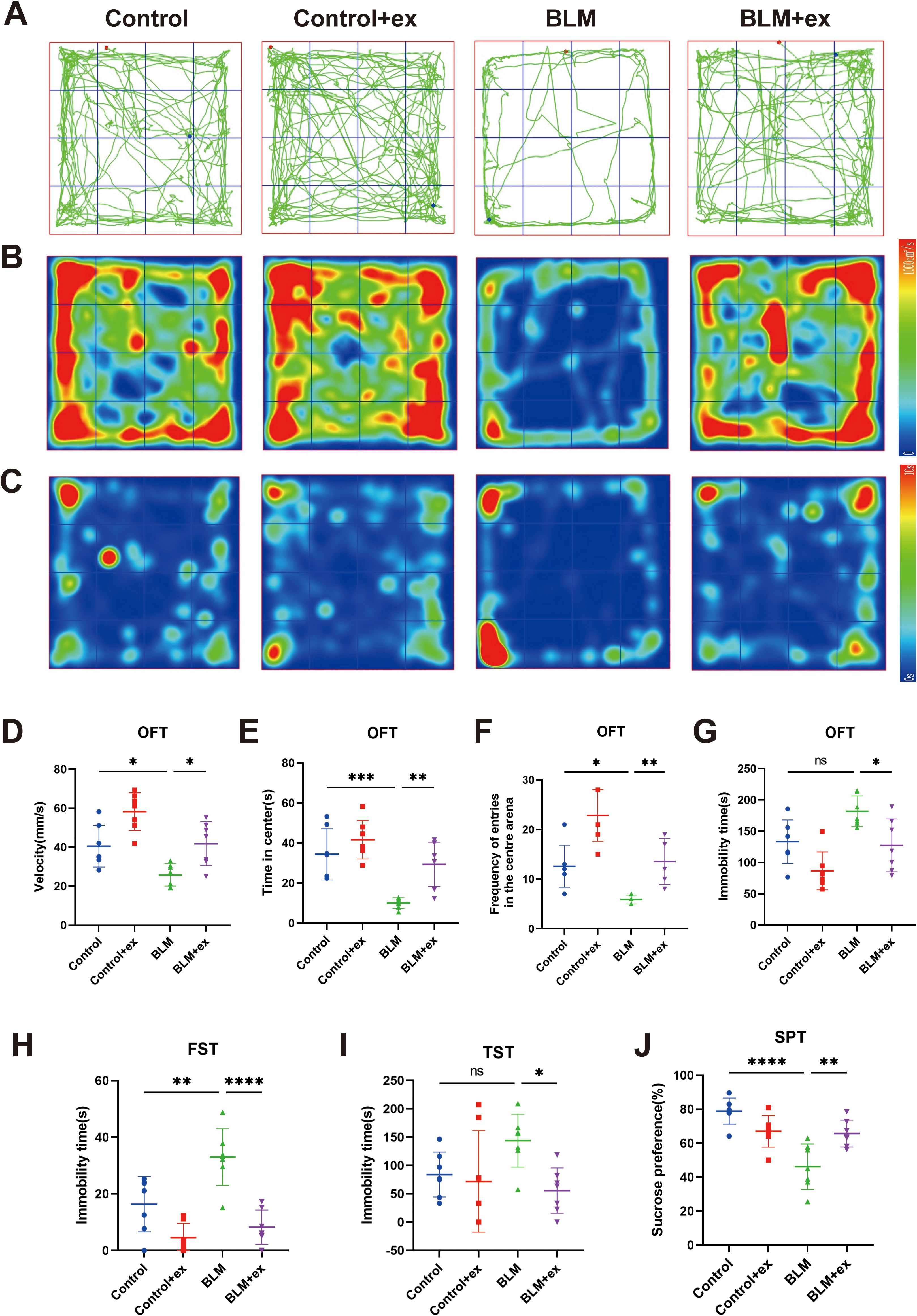This figure consists of several panels showing experimental data. Panels A, B, and C display tracked movement paths and heat maps under different conditions: Control, Control+ex, BLM, and BLM+ex. Panels D to J present scatter plots of various behavioral metrics such as velocity, time in center, frequency of entries, and immobility times across conditions, with statistical significance indicated by asterisk symbols.