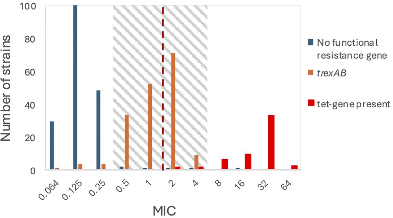Bar chart showing the distribution of bacterial strains against various minimum inhibitory concentrations (MIC) from 0.064 to 64. Strains are categorized by resistance: blue for no functional resistance gene, orange for trexAB, and red for tet-gene presence. Most strains without functional resistance have low MIC values, while strains with the tet-gene are present at higher MIC values. A gray shaded area with a dashed line emphasizes the range from 1 to 2 MIC.