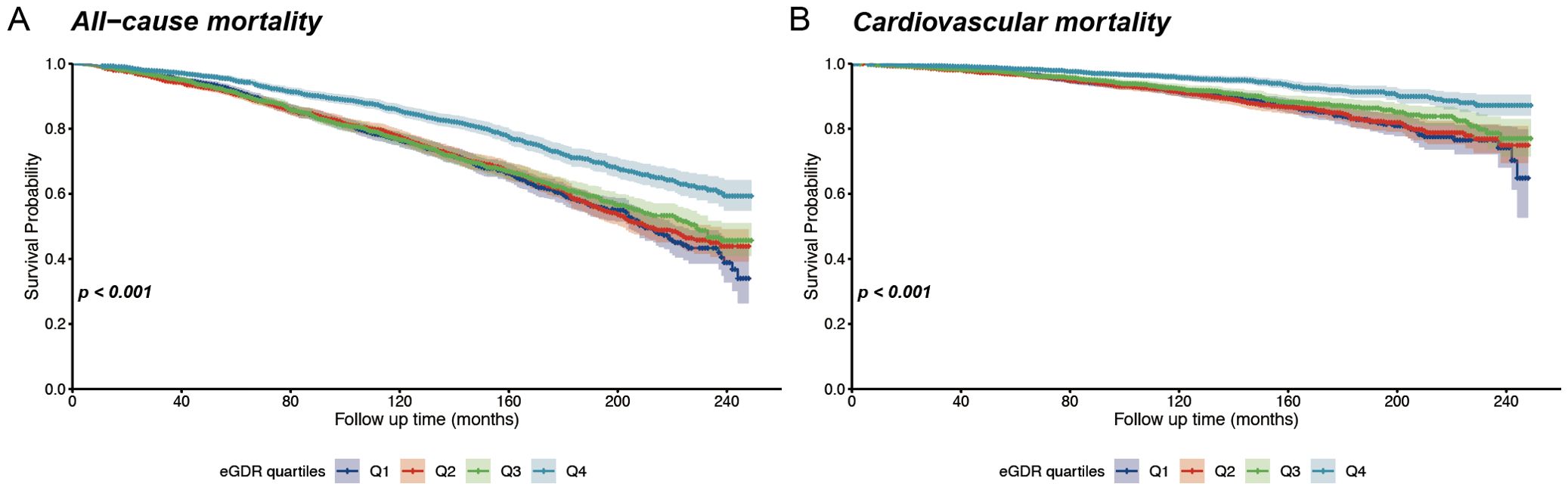 Kaplan-Meier survival curves showing all-cause mortality (Panel A) and cardiovascular mortality (Panel B) over 240 months. Survival probability decreases over time with distinct quartile stratifications based on eGDR. Q1 (dark blue), Q2 (red), Q3 (green), and Q4 (light blue) represent different quartiles. Both panels indicate p-values less than 0.001, suggesting significant differences between quartiles.
