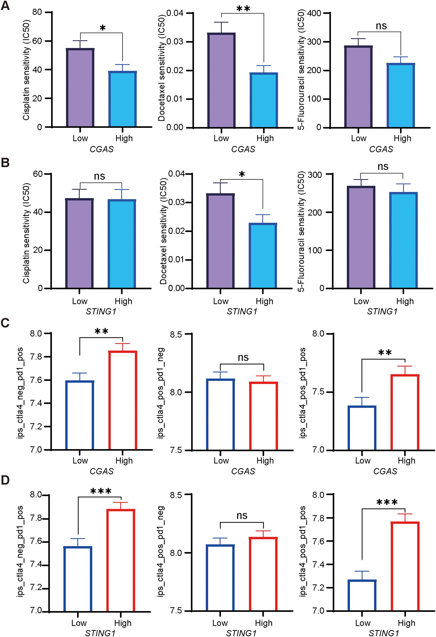 Bar charts illustrating drug sensitivity and immune response metrics for CGAS and STING1. Panel A: CGAS shows decreased sensitivity to Cisplatin and Docetaxel, and no significant change for 5-Fluorouracil. Panel B: STING1 shows no significant change for Cisplatin and 5-Fluorouracil, but decreased sensitivity for Docetaxel. Panel C: CGAS shows increased ips_ctla4_neg_pd1_pos and ips_ctla4_pos_pd1_pos, with no significant change in ips_ctla4_neg_pd1_neg. Panel D: STING1 shows increased ips_ctla4_neg_pd1_pos and ips_ctla4_pos_pd1_pos, with no significant change in ips_ctla4_pos_pd1_neg. Bars represent low and high expression groups. Statistical significance indicated by asterisks.