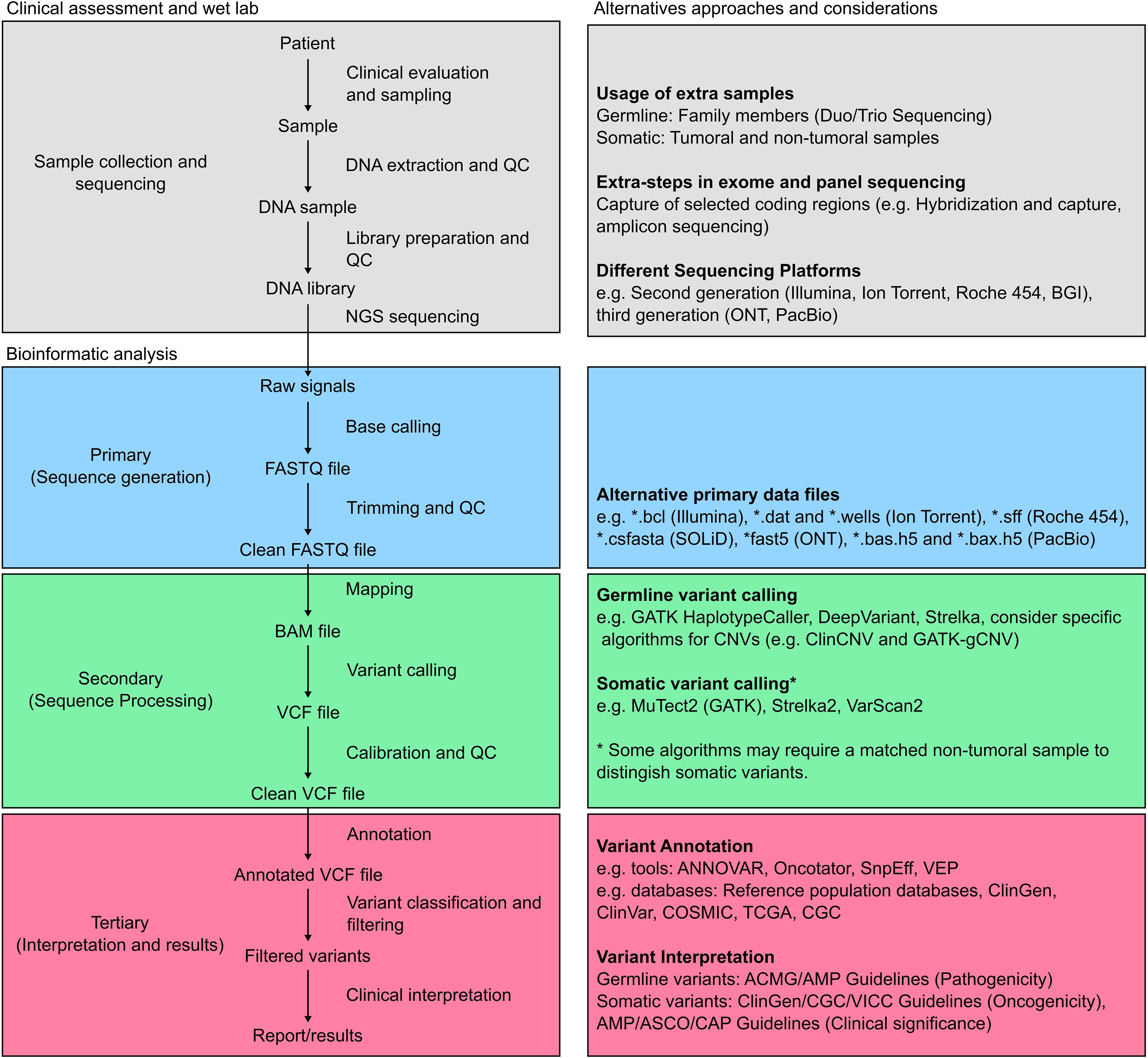 Flowchart detailing the process of genomic analysis, divided into sections: Clinical assessment and wet lab, Bioinformatic analysis, and Alternatives and considerations. It outlines steps like clinical evaluation, DNA extraction, sequencing, and data processing (primary, secondary, tertiary) stages with tasks like base calling, mapping, variant calling, and annotation. Alternative methods and platforms, such as usage of extra samples and different sequencing platforms, are also mentioned.