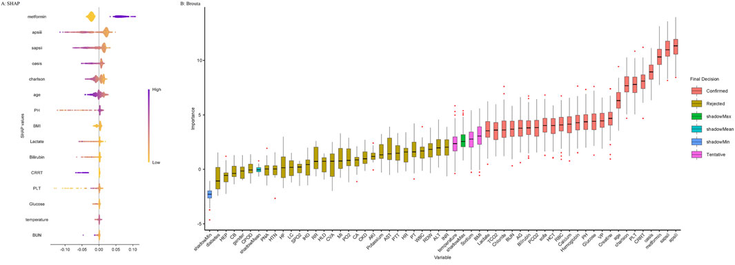 Two-panel data visualization showing SHAP values and variable importance. Panel A displays SHAP values for several variables, colored by high to low impact. Panel B shows a box plot of variable importance, with categories like Confirmed, Rejected, and Tentative, represented in different colors.