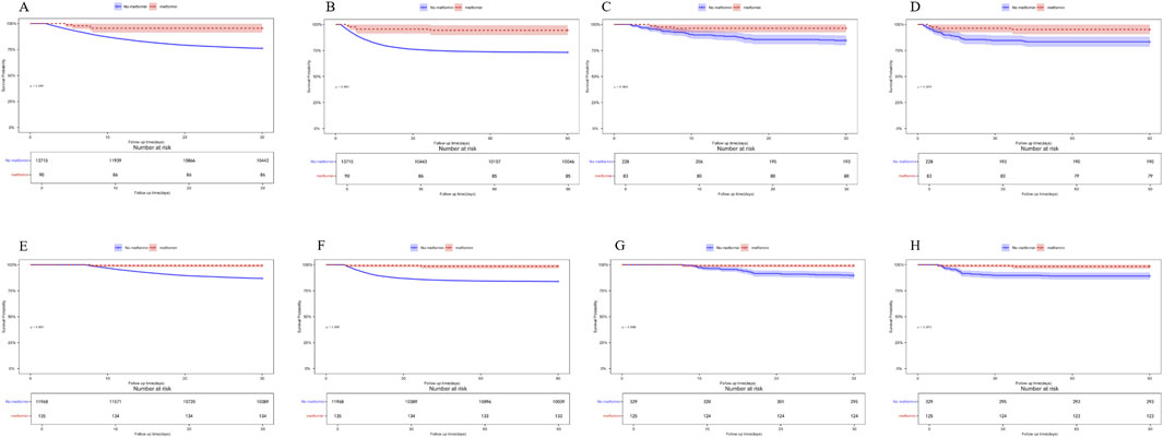 Eight Kaplan-Meier survival curves compare two groups: those taking metformin and those not taking it. Graphs A to H show survival probabilities over time, with metformin consistently resulting in higher survival rates across each follow-up period. The x-axis displays follow-up time in days, while the y-axis shows survival probability. Tables below each graph indicate the number at risk over time for both groups.