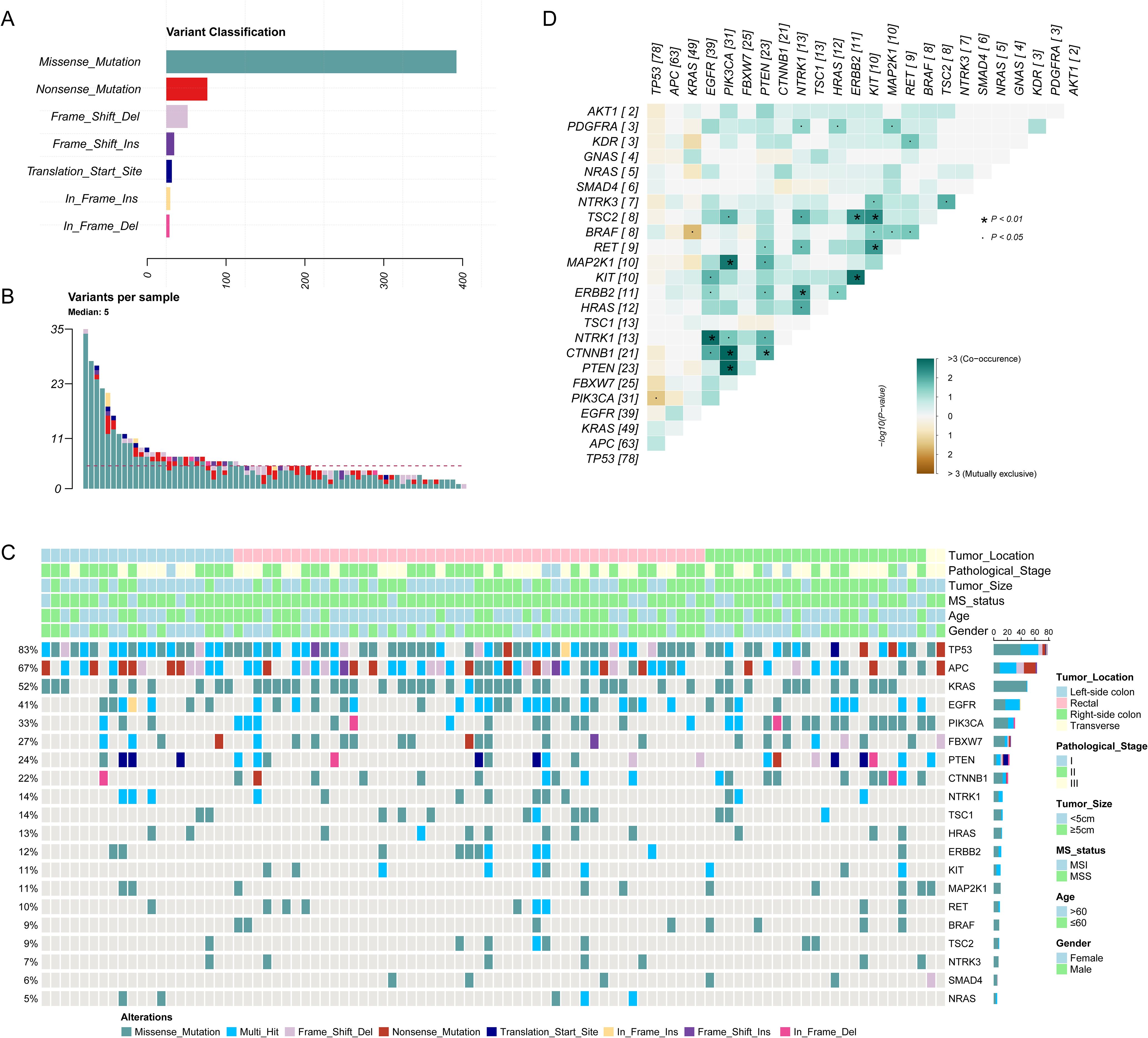 Composite image showing various graphs related to genetic variants. Panel A is a bar chart illustrating variant classification, indicating Missense_Mutation as the most frequent. Panel B is a bar chart showing the number of variants per sample, with a median indicated. Panel C is a heatmap displaying alterations across samples, with categories like Tumor_Location and Pathological_Stage. Panel D is a correlation matrix for genetic mutations, color-coded by co-occurrence and mutual exclusivity.