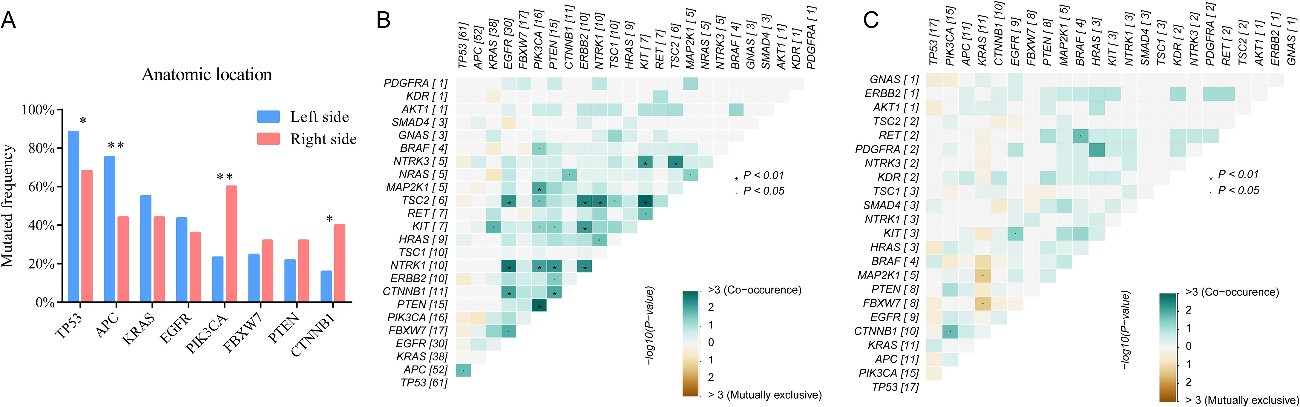 Graph A is a bar chart showing mutated frequencies of genes on the left versus right side of an anatomic location, with TP53 and APC showing the highest frequencies. Chart B is a heatmap displaying the co-occurrence of gene mutations, with TP53 and APC having significant interactions. Chart C is another heatmap illustrating mutually exclusive mutations, highlighting TP53 and PIK3CA interactions. Both heatmaps use color gradients to indicate the significance level of P-values.