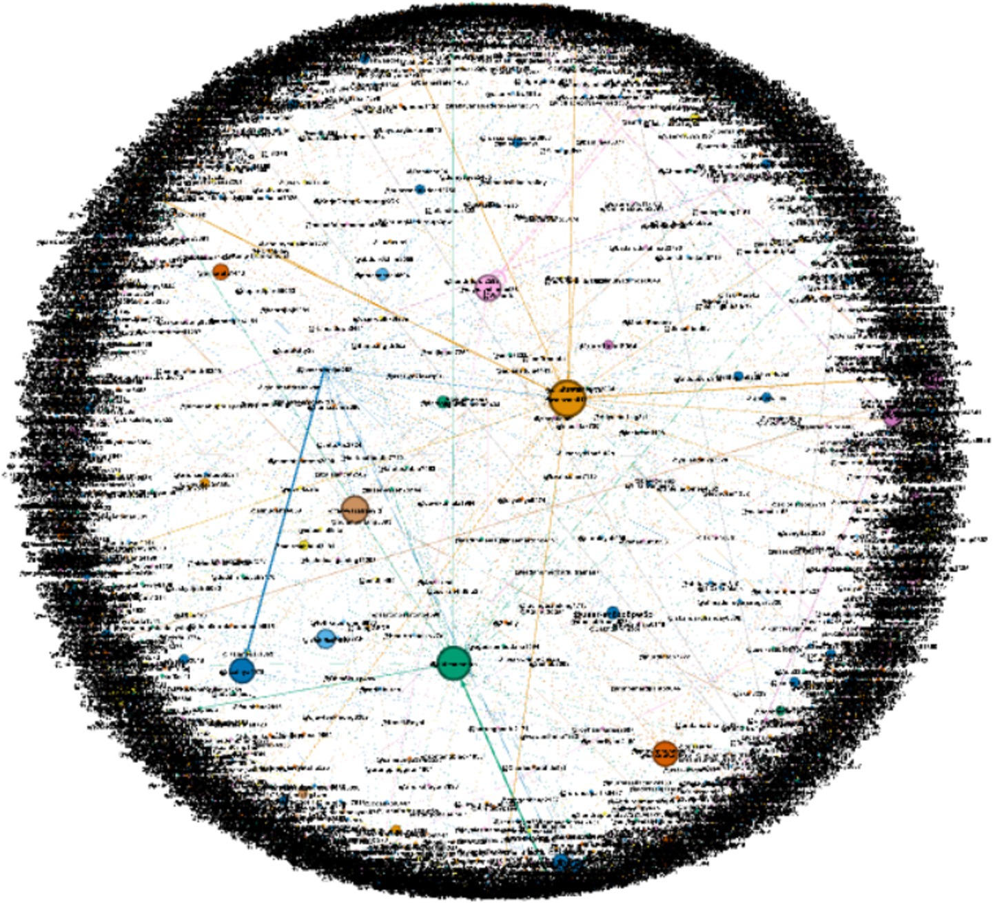 Network graph showing interconnected nodes of varying sizes and colors on a circular layout. Larger nodes are prominently placed towards the center, connected by lines of different colors representing relationships.