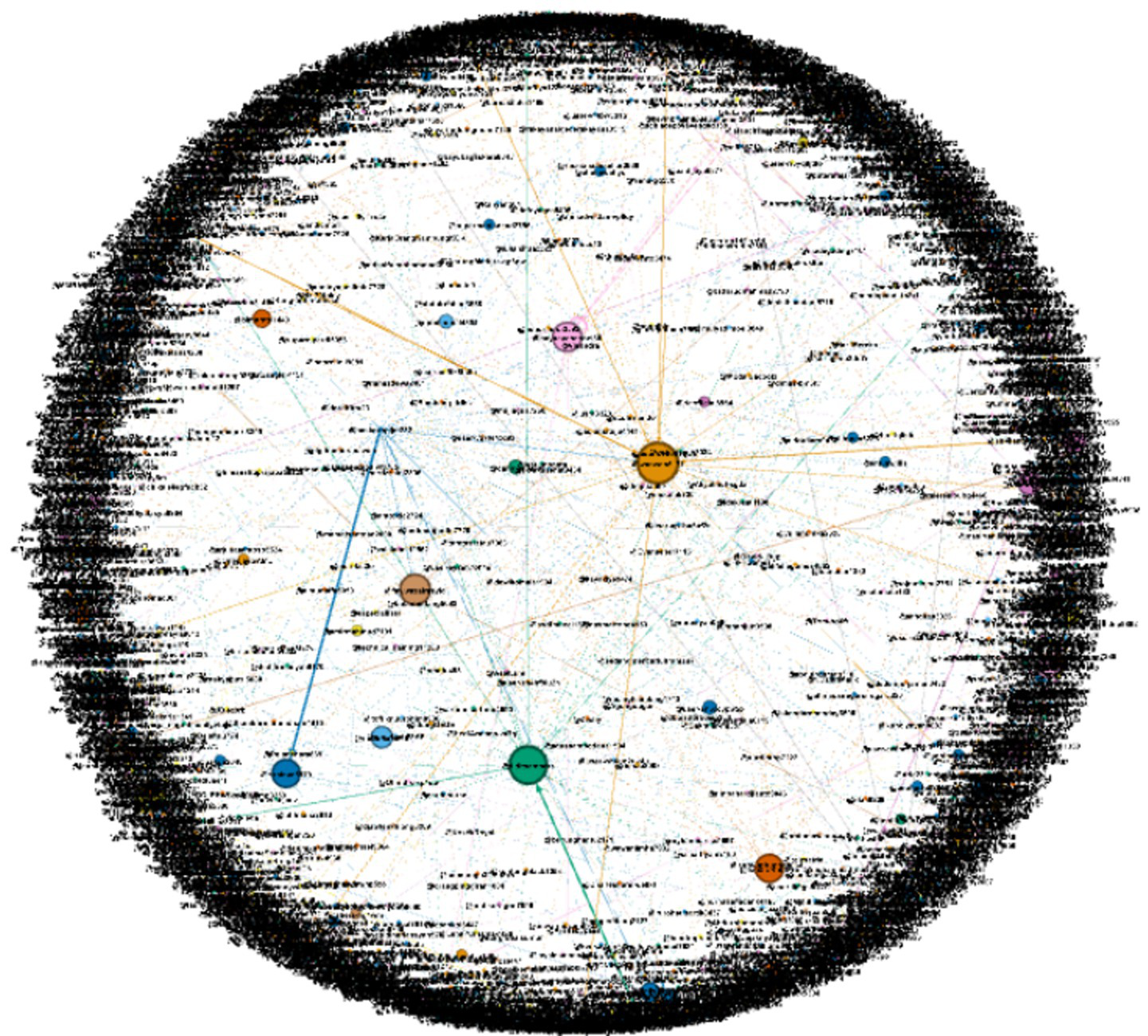 Network graph depicting numerous interconnected nodes and lines with varying colors and sizes. Larger nodes, such as the orange and green ones, signify more central connections, illustrating complex network relationships.