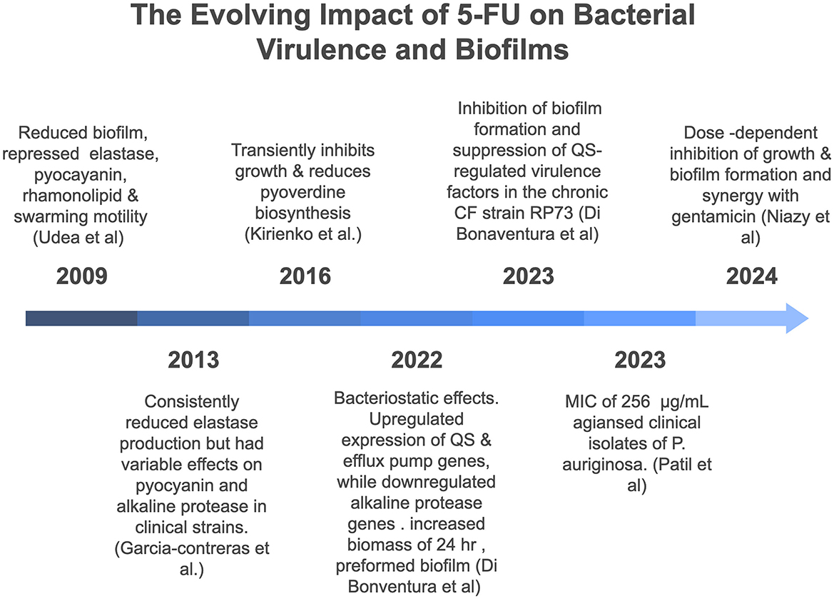 Illustration of a bacterial cell showing the antimicrobial effects of 5-FU and Gentamycin. The diagram includes DNA transcription interference, protein synthesis disruption, and reduction of factors like elastase, pyocyanin, and others. The result is the inhibition of growth and biofilm, with visual comparisons of untreated and 5-FU-inhibited biofilms.