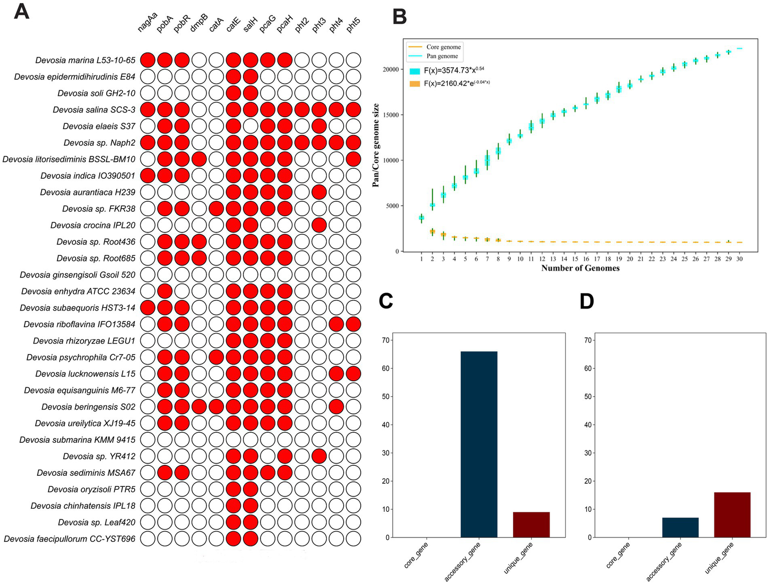 Panel A shows a matrix with genomes listed vertically and gene clusters horizontally, highlighting specific genomes with red circles. Panel B presents a line chart of core and pan-genome sizes against the number of genomes, with fitted curves. Panel C and D are bar charts comparing core, accessory, and unique gene counts, with accessory genes being most prevalent.