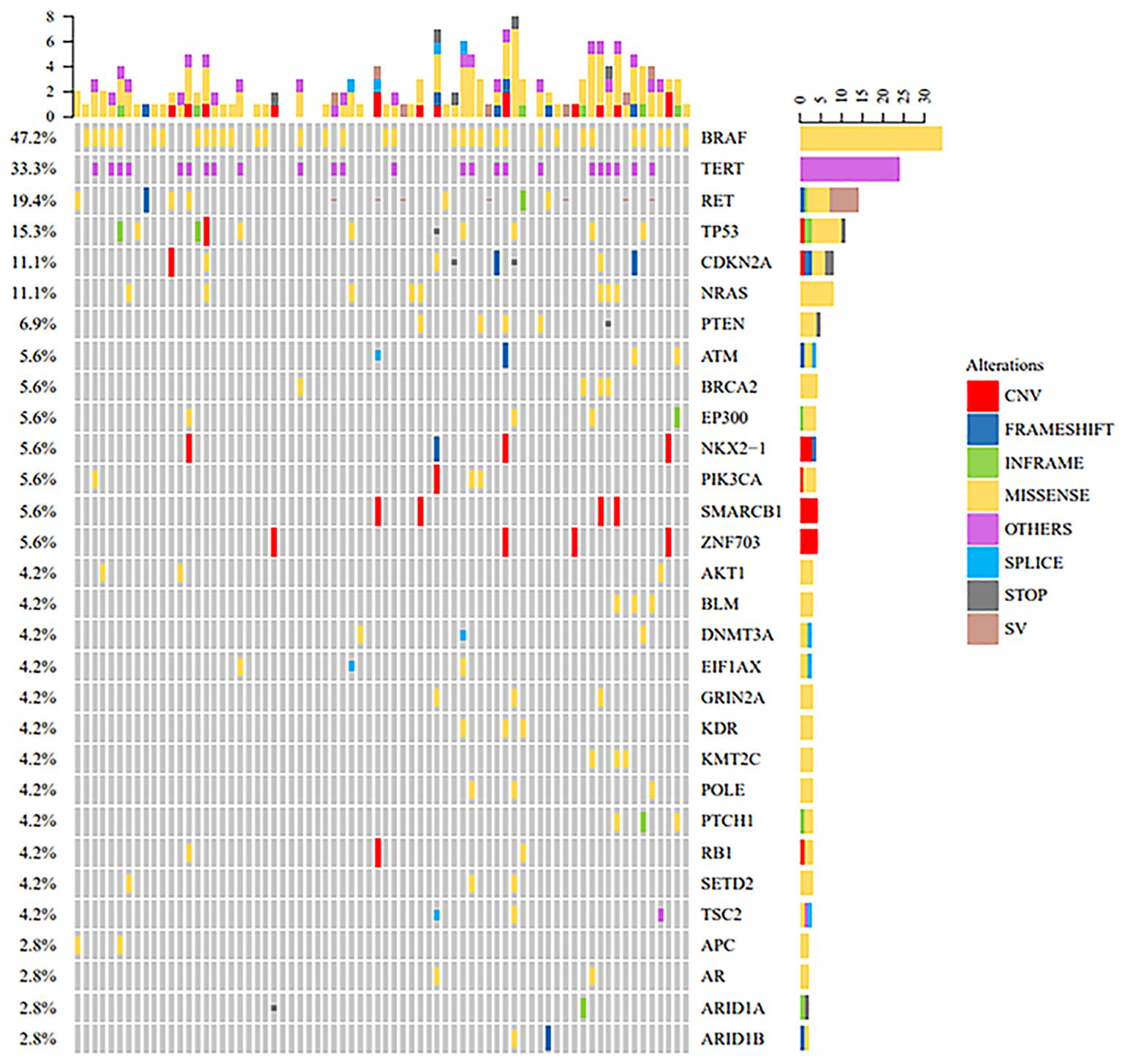 An oncoprint diagram visualizing the mutation landscape of 72 papillary thyroid cancer cases. Each column represents a patient, and each row a gene. Colored tiles indicate mutation types, such as missense (yellow) and splice (light blue). A bar graph above the main grid shows the total number of mutations per sample. A bar graph on the right shows the percentage of patients with a mutation in each gene, with BRAF being the most frequent (47.2%) followed by TERT (33.3%).