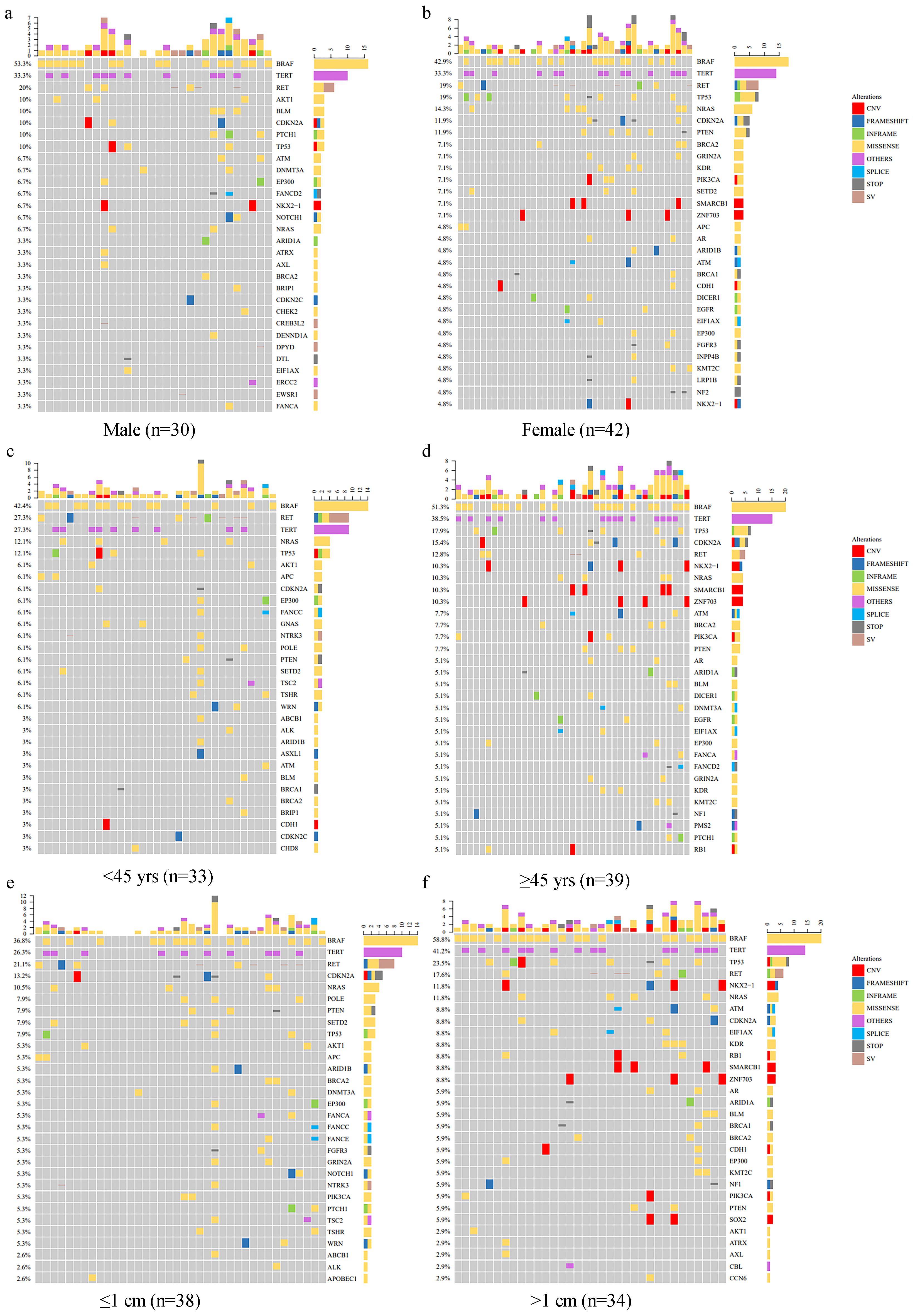 Six heatmaps display genetic alterations in various subgroups: males (n=30), females (n=42), under 45 years (n=33), over 45 years (n=39), tumors ≤1 cm (n=38), and tumors >1 cm (n=34). Each map categorizes mutations with a key: CNV, PAR/ASHIFT, INFRAME, MISSENSE, OTHERS, SPLICE, STOP, and SV. The maps show mutation frequencies with color-coded squares, providing a visual comparison across the subgroups.