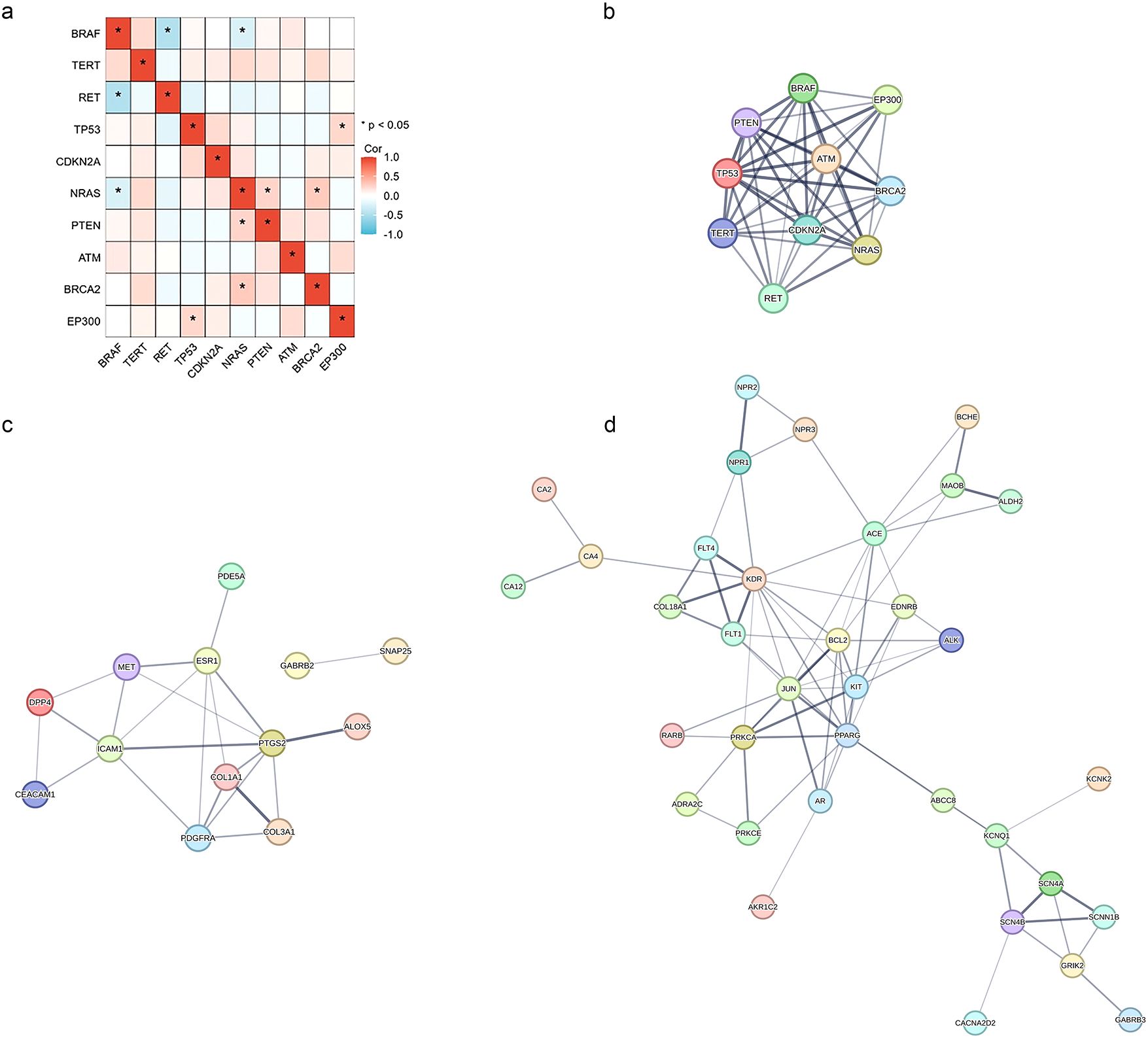 A four-panel figure illustrating genetic correlations and interaction networks. Panel (a) is a correlation heatmap where red squares indicate significant co-occurring mutations and blue squares indicate mutual exclusivity (p<0.05). Panel (b) is a protein-protein interaction network diagram showing connections between the top 10 mutated genes. Panels (c) and (d) are network diagrams displaying interactions for upregulated and downregulated FDA-approved drug target genes, respectively. In the networks, nodes are genes and lines represent interactions.