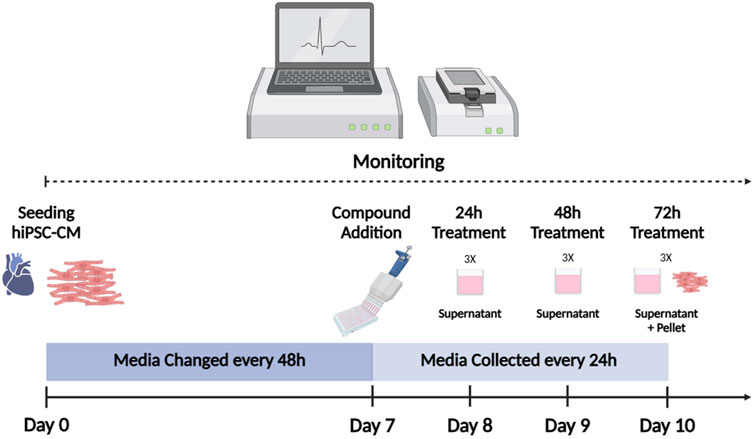 Monitoring workflow for hiPSC-CM study with timelines for compound treatment. Seeding occurs at Day 0. Media is changed every 48 hours. On Day 7, compound addition starts, followed by 24-, 48-, and 72-hours treatments with supernatant collection. Media is collected every 24 hours from Day 8 to Day 10. Diagrams show equipment used, and a timeline illustrates the process phases.