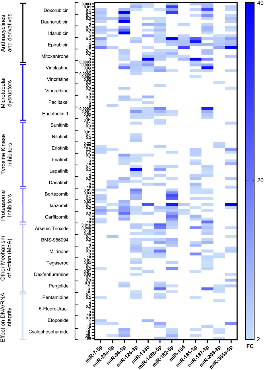 Heatmap visualizing the effects of various drugs on different microRNAs. The drugs are categorized by type, such as anthracyclines, microtubular disruptors, and tyrosine kinase inhibitors. The intensity of blue shades indicates fold changes, with darker shades representing higher values. A scale bar on the right shows the fold change range from two to forty.