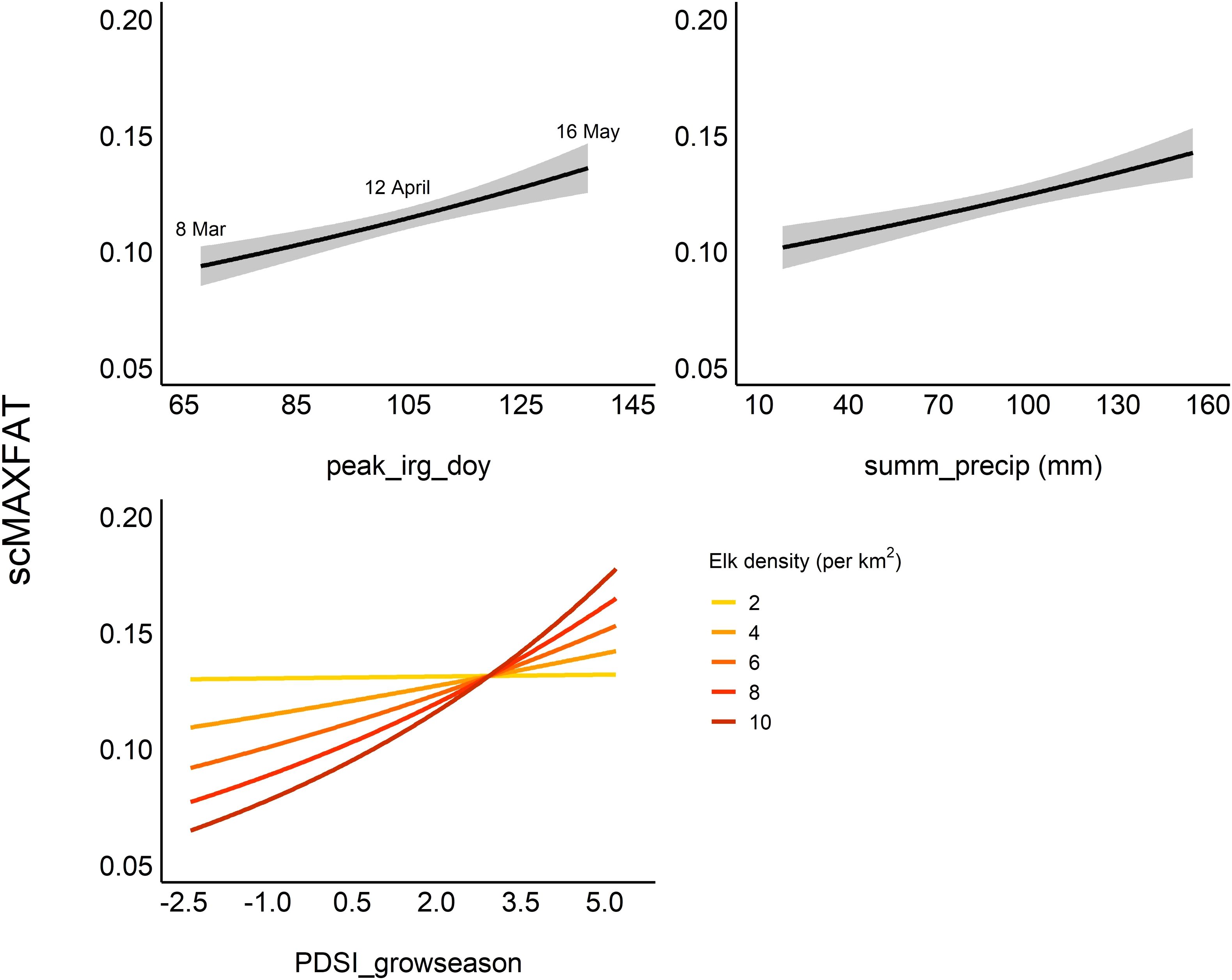 Three line graphs display relationships involving scMAXFAT. Top left graph shows increase in scMAXFAT with peak_irrigation_doy from March to May. Top right graph shows increase with summ_precipitation in millimeters. Bottom graph shows scMAXFAT increasing with PDSI_growseason under varying elk densities, represented by different colored lines.