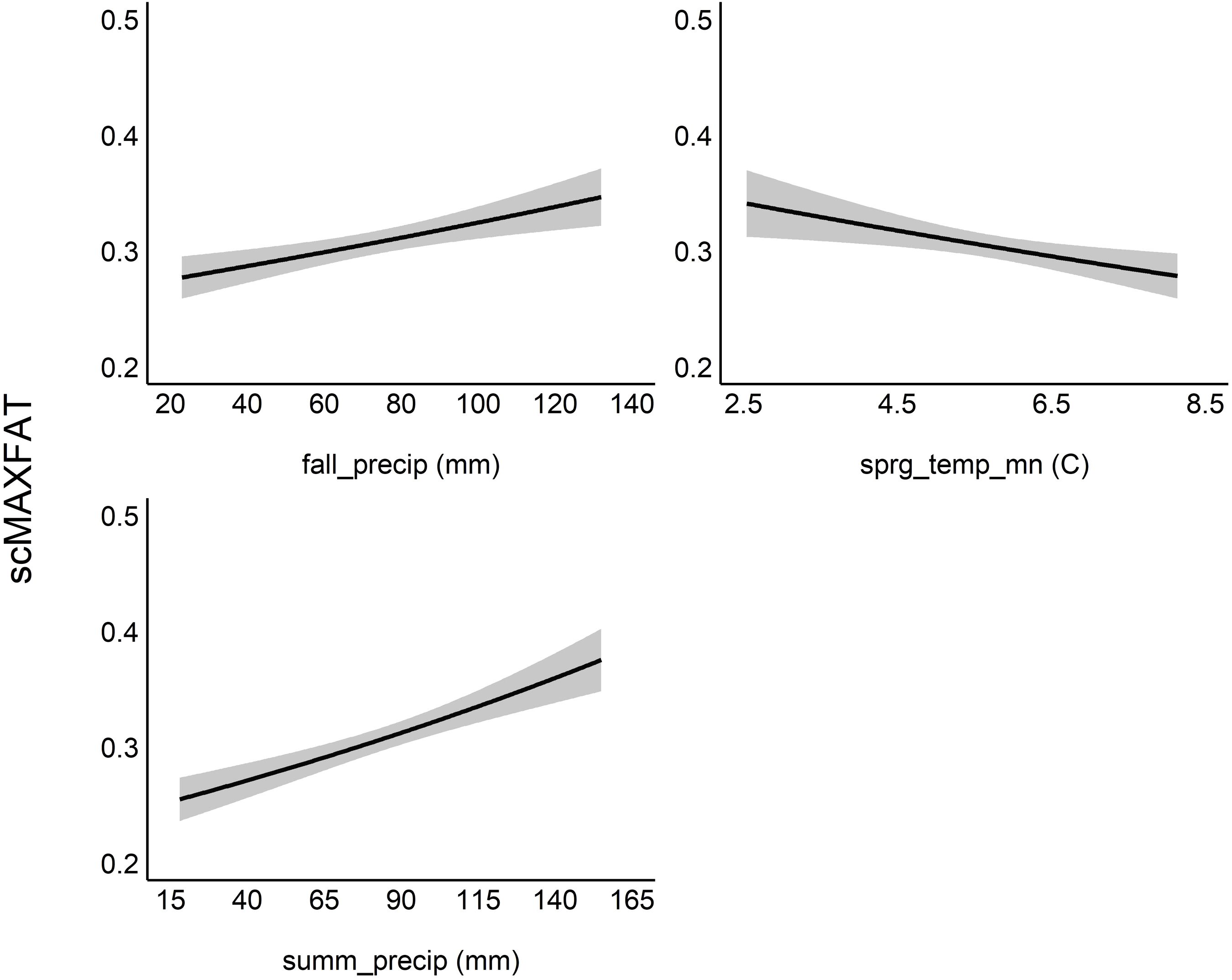 Three line graphs depict relationships between scMAXFAT and various climate variables. The first graph shows a positive correlation with fall precipitation, measured in millimeters. The second graph displays a negative correlation with spring temperature, measured in degrees Celsius. The third graph indicates a positive correlation with summer precipitation. Each graph includes a line representing the trend and shaded areas illustrating the confidence intervals.