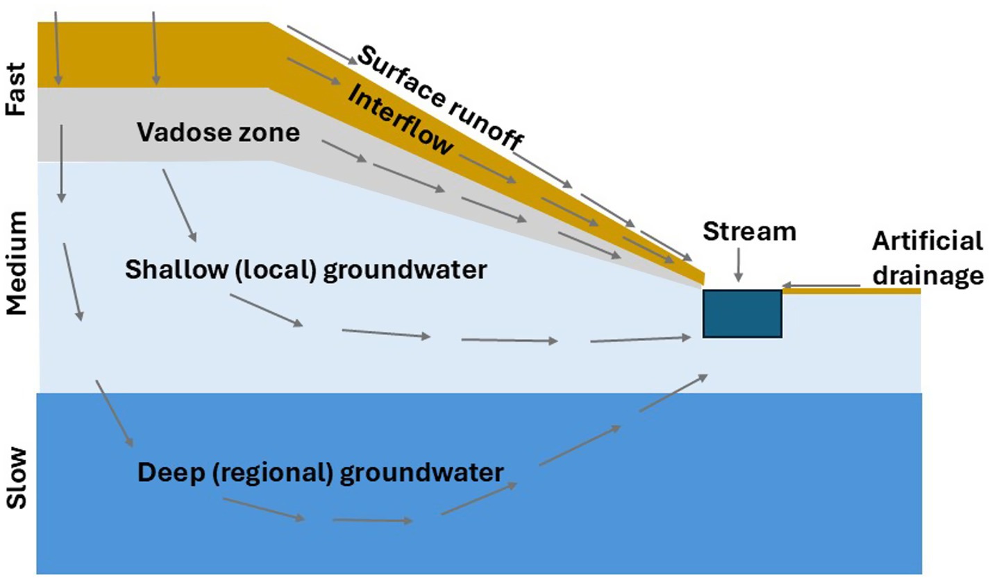 Diagram illustrating water flow processes. Surface runoff occurs rapidly at the top, with layers below showing interflow in the vadose zone, medium-speed shallow groundwater flow, and slow deep groundwater flow. A stream connects to artificial drainage on the surface.