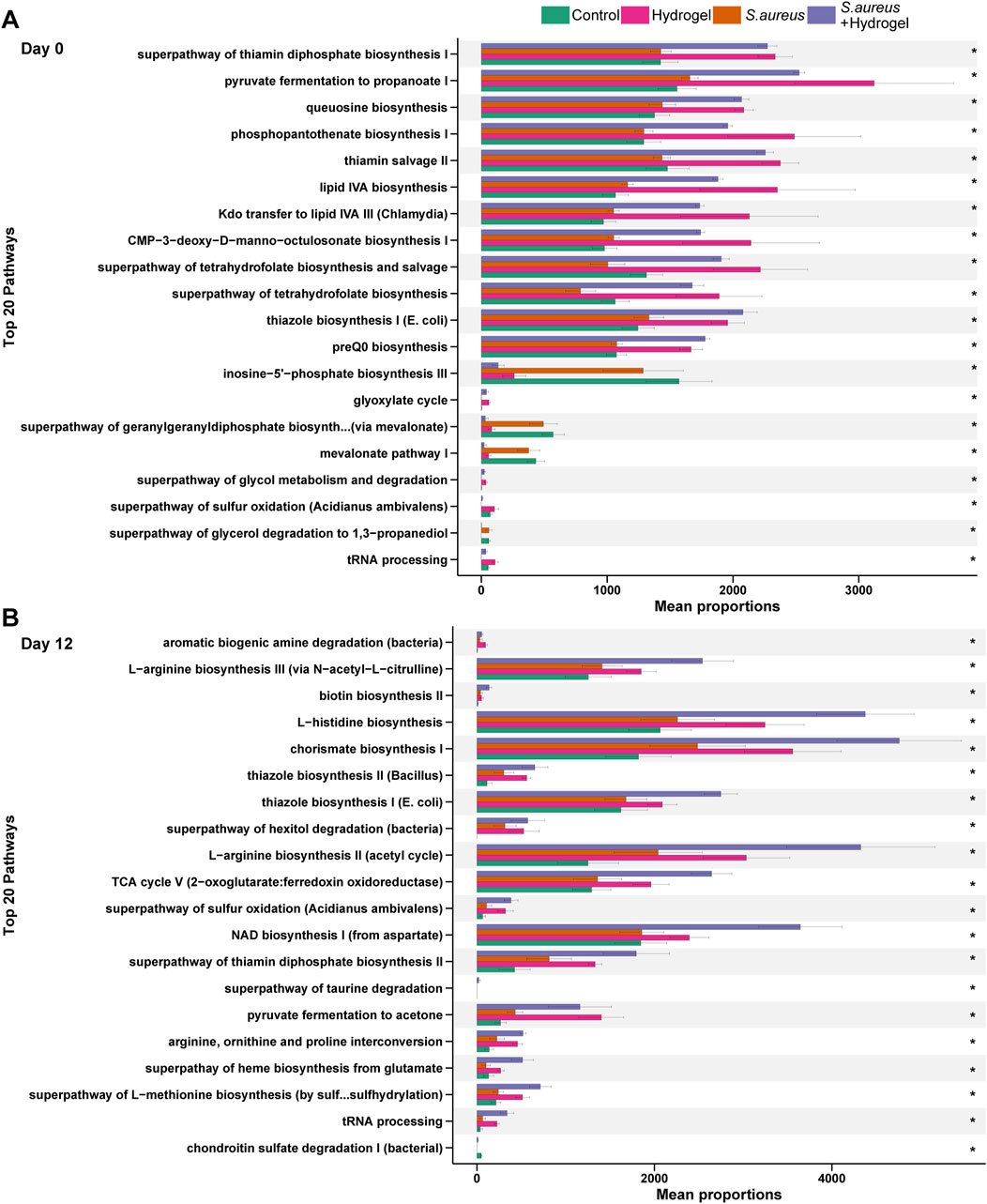 Bar charts labeled A and B compare the mean proportions of the top twenty metabolic pathways on Day 0 and Day 12. Different colors represent four conditions: Control, Hydrogel, S. aureus, and S. aureus with Hydrogel. Notable pathways include thiamin diphosphate biosynthesis and aromatic biogenic amine degradation. Significant differences are marked with asterisks.
