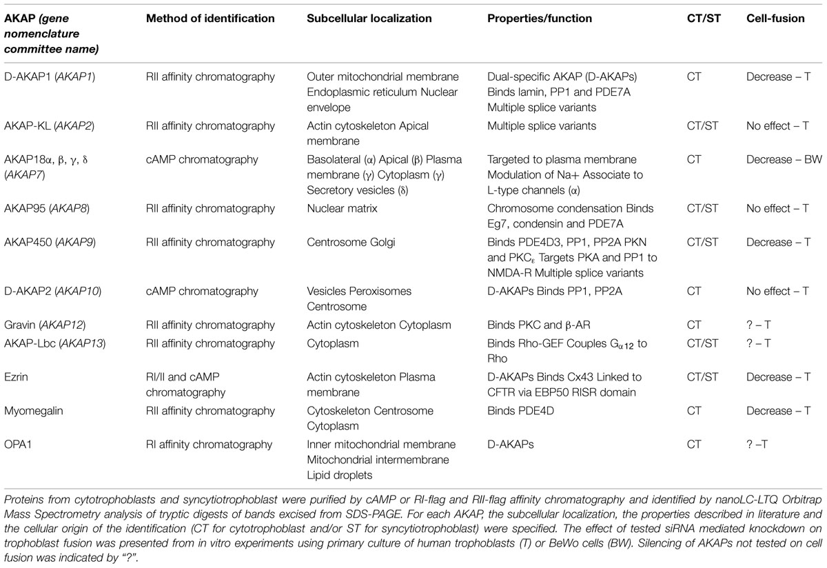 Frontiers | Spatiotemporal regulation of cAMP signaling