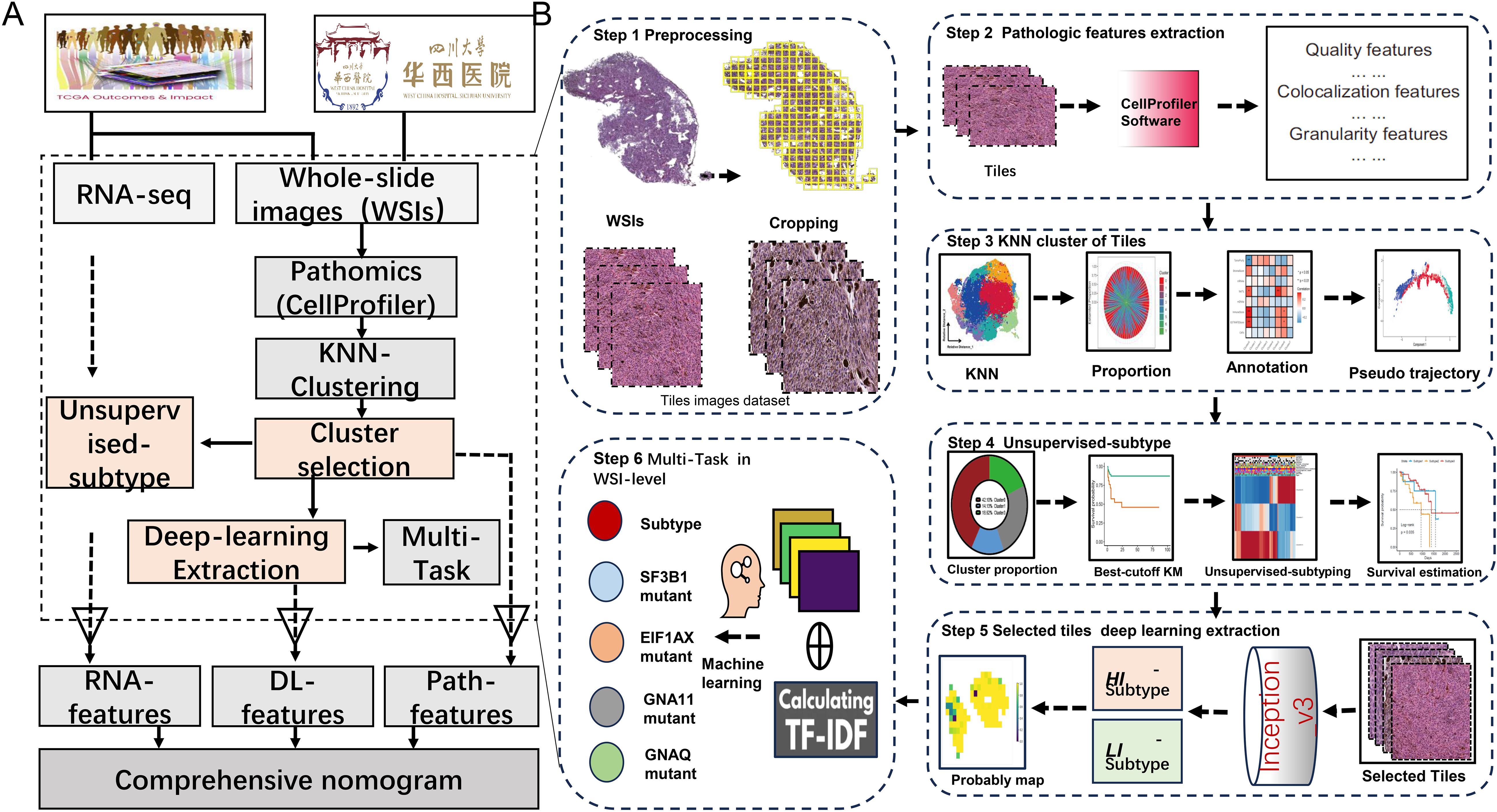 Flowchart illustrating a multi-step analysis process using whole-slide images (WSIs) and RNA sequencing. Section A outlines RNA sequencing and WSI processing including pathomics, KNN clustering, and unsupervised subtyping. Section B details six steps: image preprocessing, pathologic feature extraction with CellProfiler, KNN clustering of tiles, identifying unsupervised subtypes, selecting tiles for deep learning, and multi-task analysis incorporating deep learning and machine learning. Various charts and images depict data transformation, clustering, survival estimation, and feature extraction. The workflow aims to integrate RNA, deep learning, and pathologic features into a comprehensive nomogram.