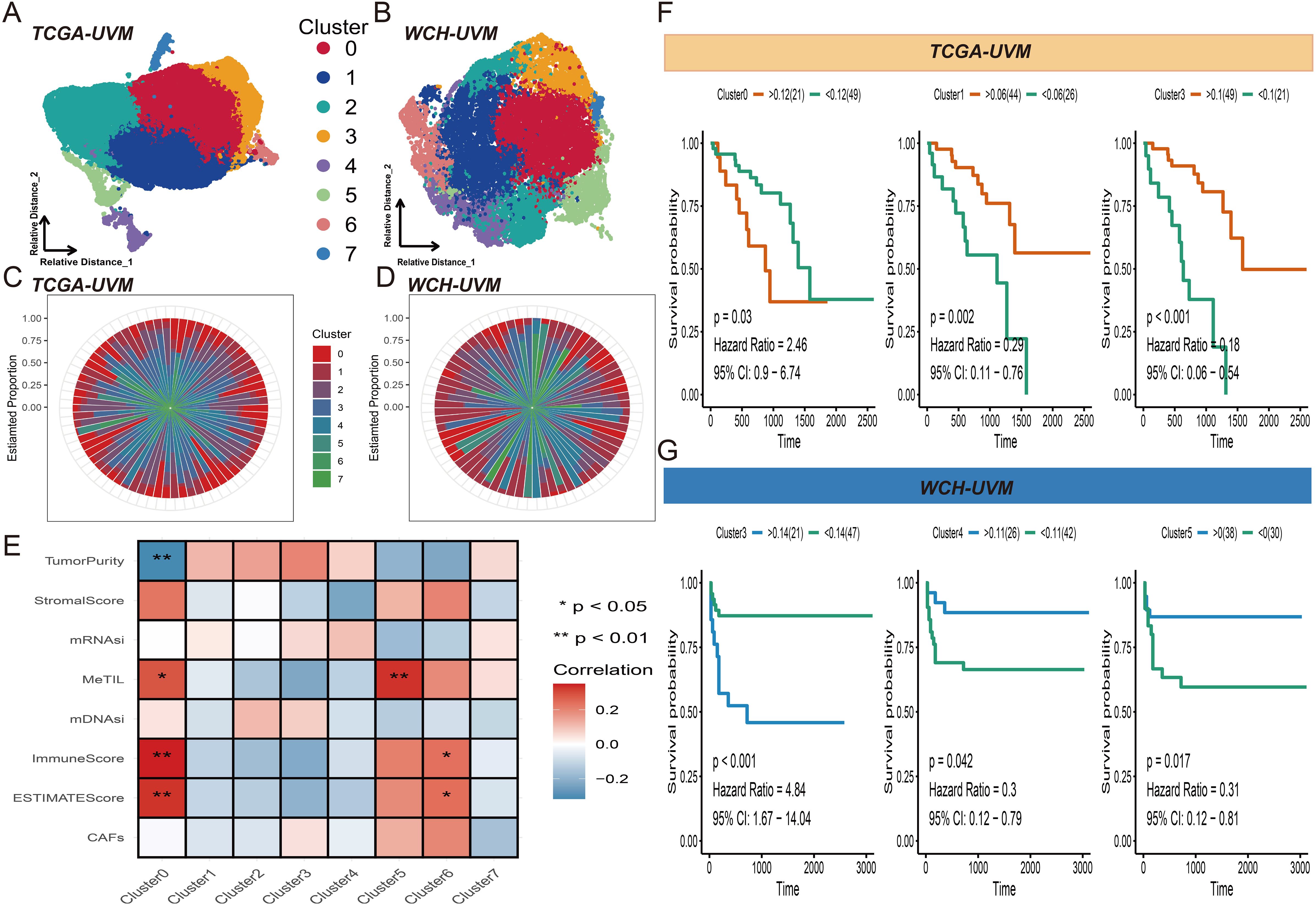 Cluster analysis and survival probability graphs for TCGA-UVM and WCH-UVM datasets. Panels A and B feature scatter plots with clusters labeled by color. Panels C and D are circular bar charts showing the estimated proportion of clusters. Panel E is a correlation heatmap for various biological scores across clusters. Panels F and G contain Kaplan-Meier survival curves comparing cluster survival probabilities, with statistical annotations including p-values and hazard ratios.