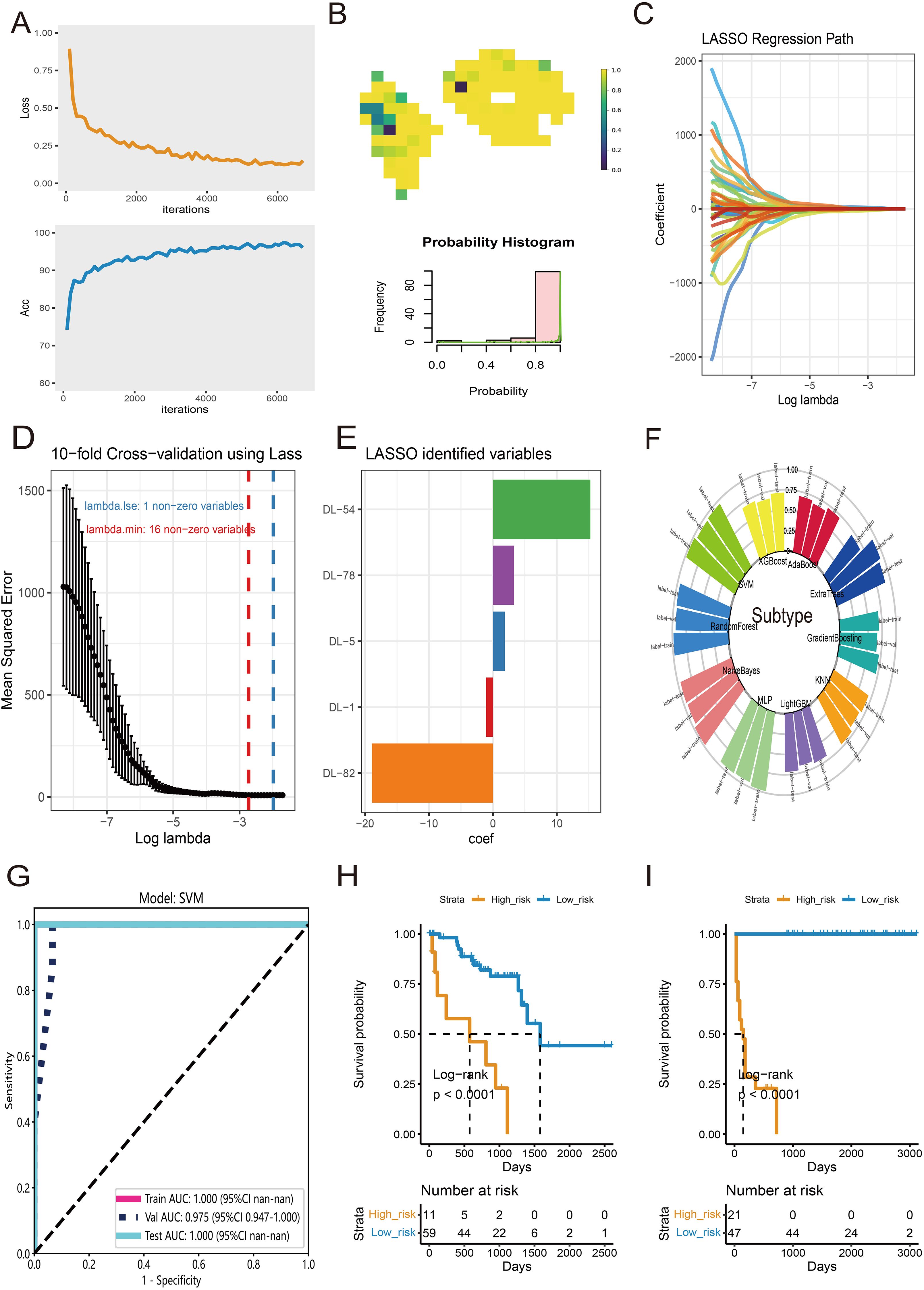 Multiple data visualizations related to machine learning analysis: A) Loss and accuracy charts over iterations. B) Probability heatmap and histogram. C) LASSO regression path. D) Cross-validation error vs. lambda. E) LASSO identified variables bar chart. F) Circular plot of subtypes. G) SVM model ROC curves. H and I) Kaplan-Meier survival plots for high and low-risk strata with statistical significance.