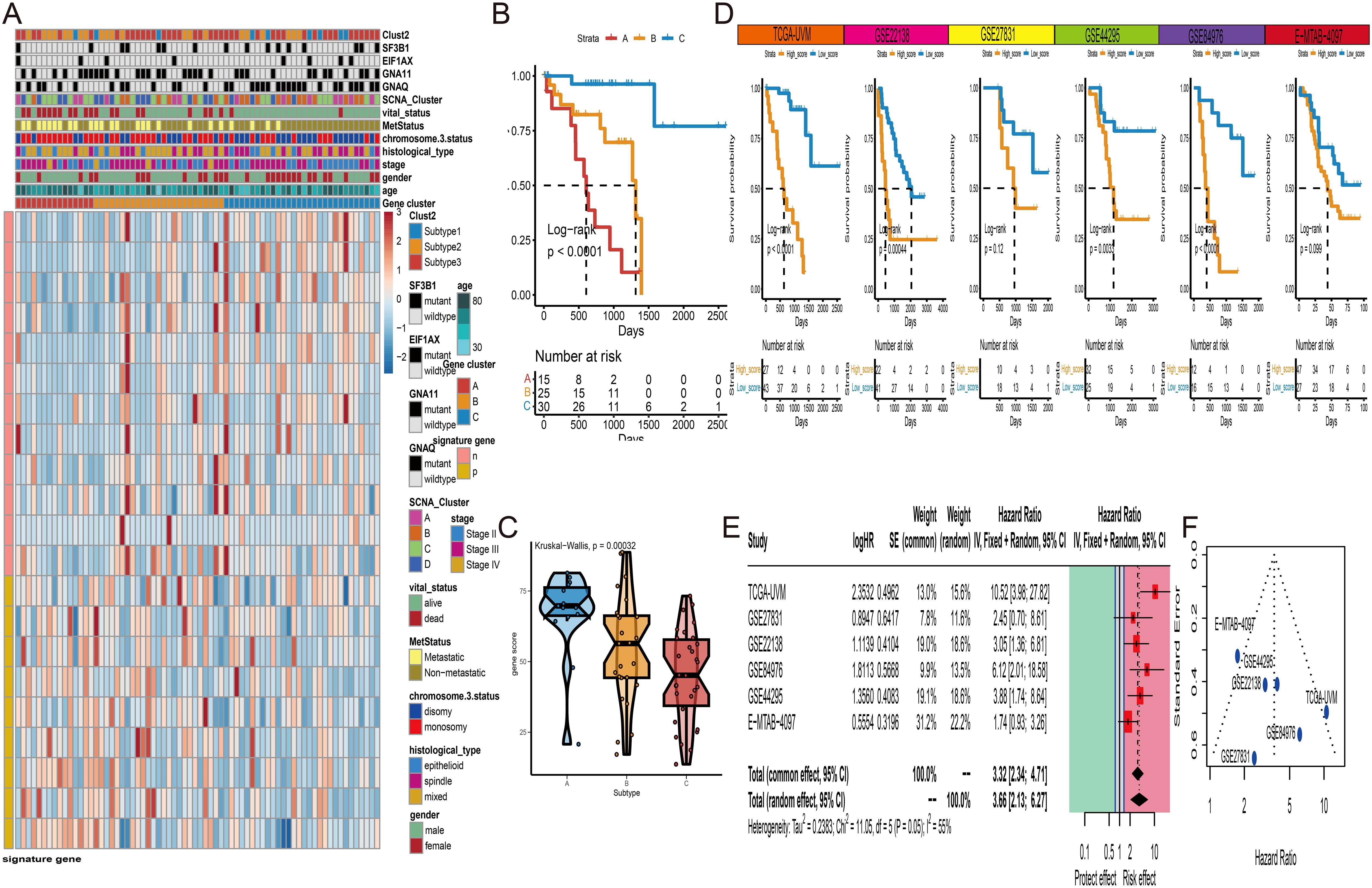 A composite image of several data visualizations related to gene expression and survival analysis. Panel A shows a heatmap with various genetic and clinical attributes. Panel B presents a Kaplan-Meier survival curve with three strata labeled A, B, and C. Panel C includes a violin plot comparing gene expression between subtypes, showing a Kruskal-Wallis p-value. Panel D contains multiple Kaplan-Meier survival curves across different studies or datasets. Panel E is a forest plot displaying hazard ratios and confidence intervals from multiple studies. Panel F is a funnel plot showing standard error against hazard ratio for the studies.