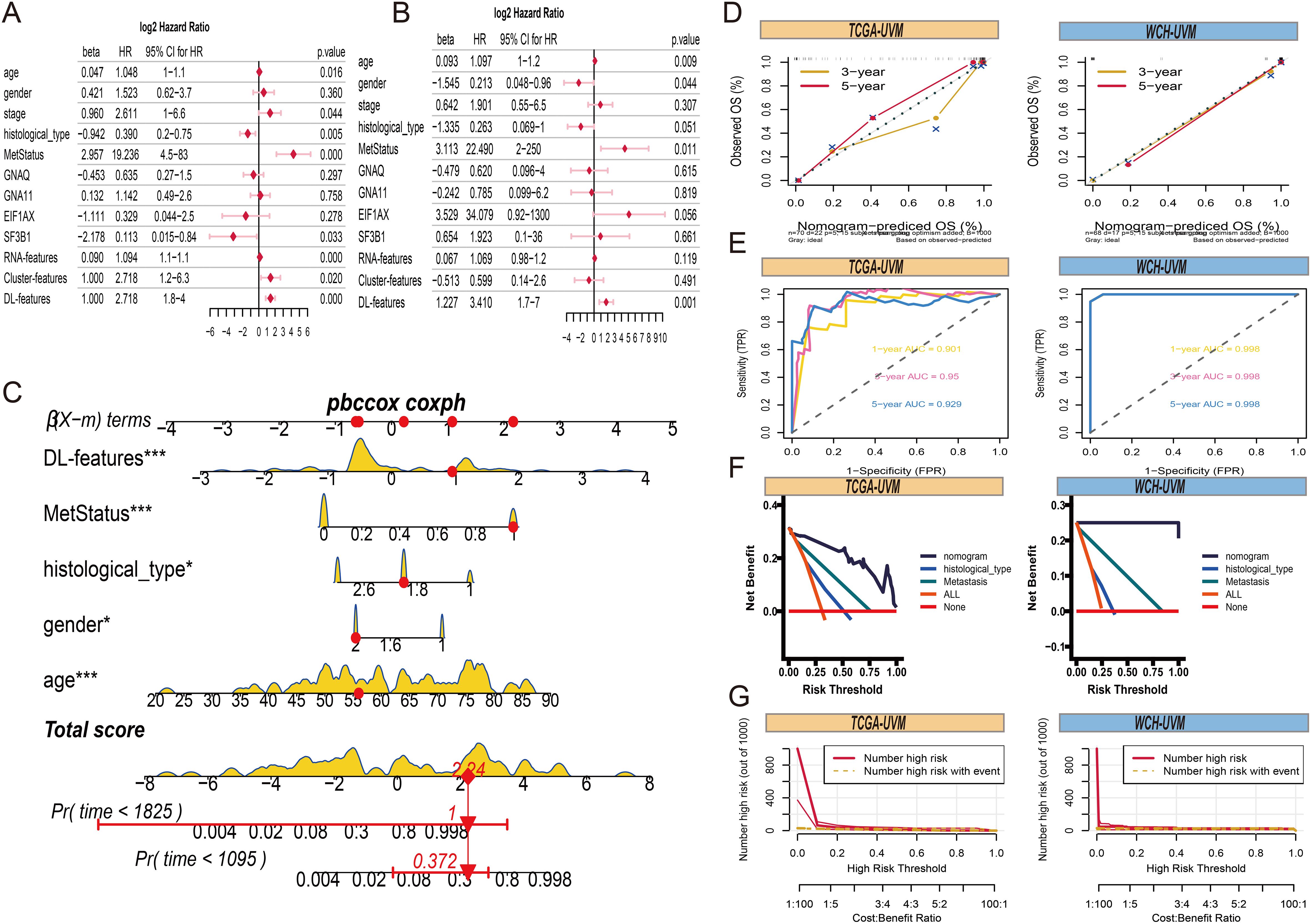 Panels A and B present forest plots displaying log2 hazard ratios for various factors like age, gender, and different genetic expressions, including statistical significance markers. Panel C shows a nomogram for predicting survival probabilities considering multiple features, such as deep learning features and metastasis status. Panels D and E feature calibration plots and ROC curves for prediction validation over several timeframes. Panels F and G display decision curve analyses and high-risk categorizations, showcasing model performance and cost-benefit ratios, respectively. All graphs are based on TCGA-UVM and WCH-UVM datasets.