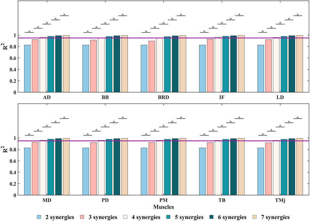 Bar charts show R² values for different muscle groups: AD, BB, BRD, IF, LD, MD, PD, PM, TB, TMj, across varying synergies (2 to 7). Colors represent synergies, with annotations indicating no statistical significance. Horizontal lines at R² = 1 highlight perfect fit.