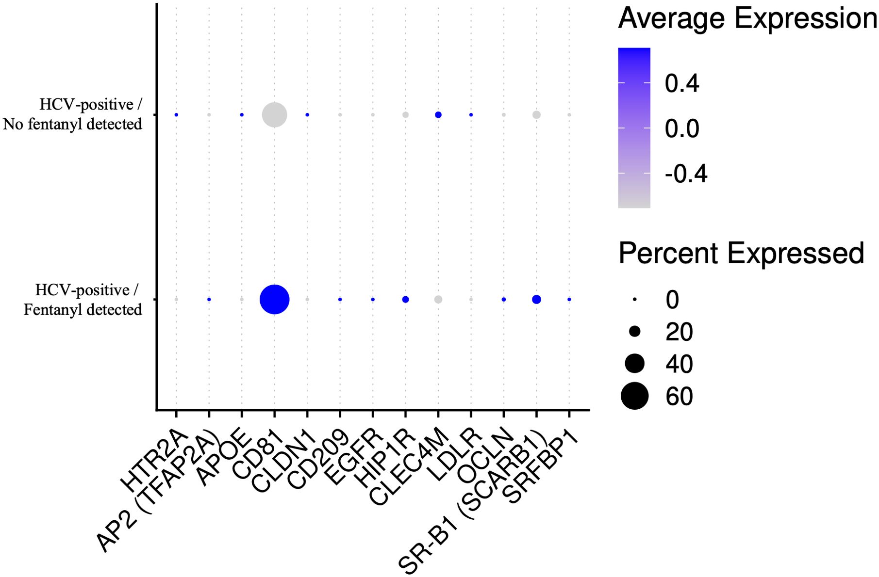 Dot plot comparing gene expression for HCV-positive subjects with and without fentanyl exposure. The x-axis lists various genes like HTR2A and SRFBP1. Blue to gray gradient represents average expression levels, while dot size indicates percent expression, ranging from zero to sixty percent. Larger blue dots are noticeable in the fentanyl detected group for genes like CLDN1, indicating higher expression levels.