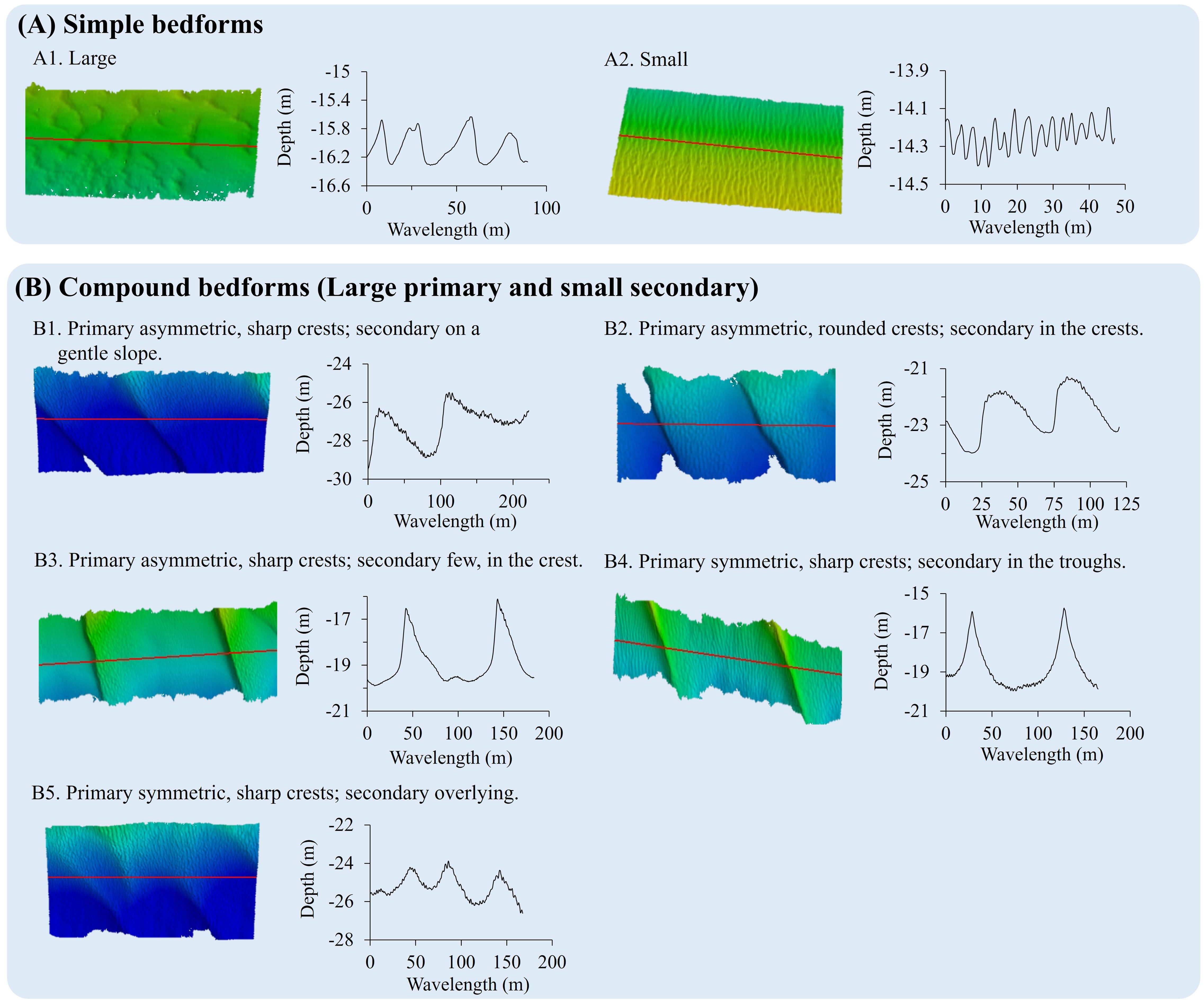 Diagram showing simple and compound bedforms with topographic images and corresponding graphs. (A) Simple bedforms: A1. Large with undulating elevation profile; graph showing depth variations from zero to one hundred meters. A2. Small with finer texture; graph showing depth variations from zero to fifty meters. (B) Compound bedforms (Large primary, small secondary): B1. Asymmetric, sharp primary crests with secondary on slope; graph showing depth from zero to two hundred meters. B2. Asymmetric, rounded primary crests with secondary at crests; graph showing depth from zero to one hundred twenty-five meters. B3. Asymmetric, sharp primary crests with few secondary; graph showing depth from zero to two hundred meters. B4. Symmetric, sharp primary crests with secondary in troughs; graph showing depth from zero to two hundred meters. B5. Symmetric, sharp primary crests with secondary overlaying; graph showing depth from zero to one hundred fifty meters.