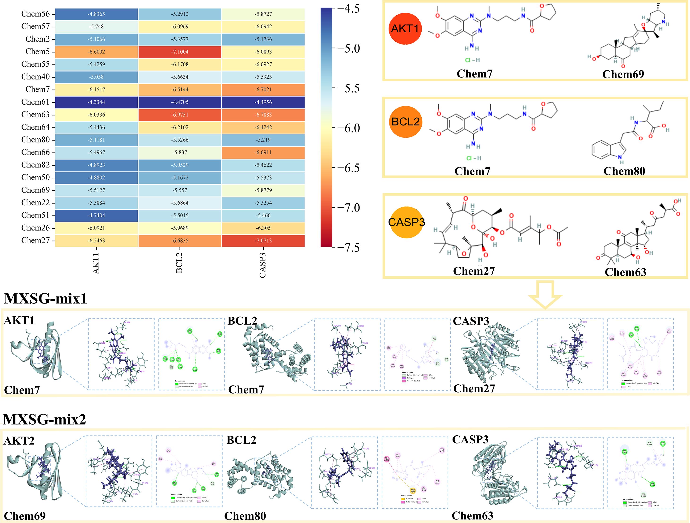 Heatmap and molecular models illustrate interactions of various chemicals (Chem56, Chem57, etc.) with proteins AKT1, BCL2, and CASP3, displaying binding affinities. Two mixes, MXSG-mix1 and MXSG-mix2, show detailed chemical bonds and 3D structures for Chem7, Chem69, Chem80, Chem27, and Chem63 in interaction with the protein.