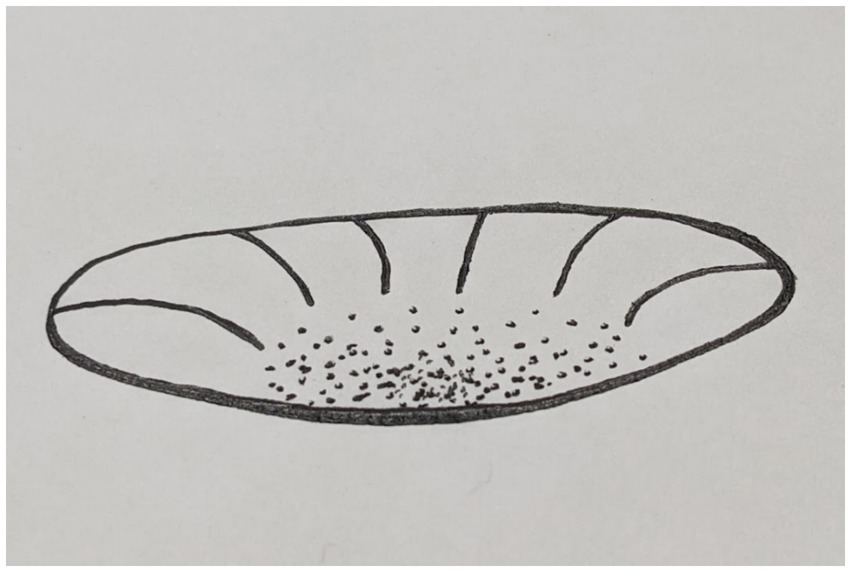 “A hand-drawn sketch showing a shallow, bowl-shaped curve with dashed lines radiating from the rim toward the center. The center contains a cluster of small dots, representing the set point attractor where states tend to stabilize.”