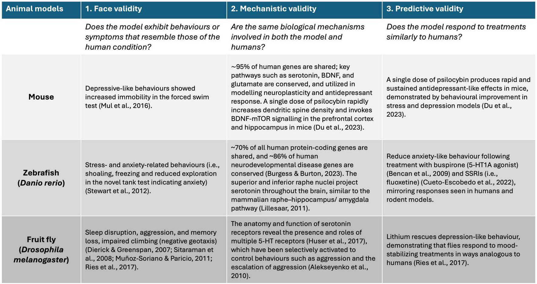 Comparison diagram of animal models for validity in research: Mice, zebrafish, and fruit flies are evaluated based on face, mechanistic, and predictive validity. Mice show depressive-like behaviors and a response to psilocybin affecting serotonin pathways. Zebrafish exhibit stress-related behaviors with genetic similarities to humans and respond to serotonergic drugs. Fruit flies display sleep and memory issues, with lithium reducing these symptoms in genetically modified models, mirroring human responses.