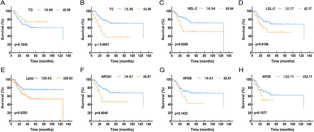 Eight Kaplan-Meier survival curves illustrating survival probability for different lipid and protein levels. Curves compare high versus low levels: (A) Triglycerides (p=0.1636), (B) Total cholesterol (p<0.0001), (C) HDL cholesterol (p=0.0060), (D) LDL cholesterol (p=0.0166), (E) Lipoprotein(a) (p=0.0283), (F) Apolipoprotein A1 (p=0.0048), (G) Apolipoprotein B (p=0.1422), (H) Apolipoprotein E (p=0.1577). Blue line indicates higher levels, orange line indicates lower levels.