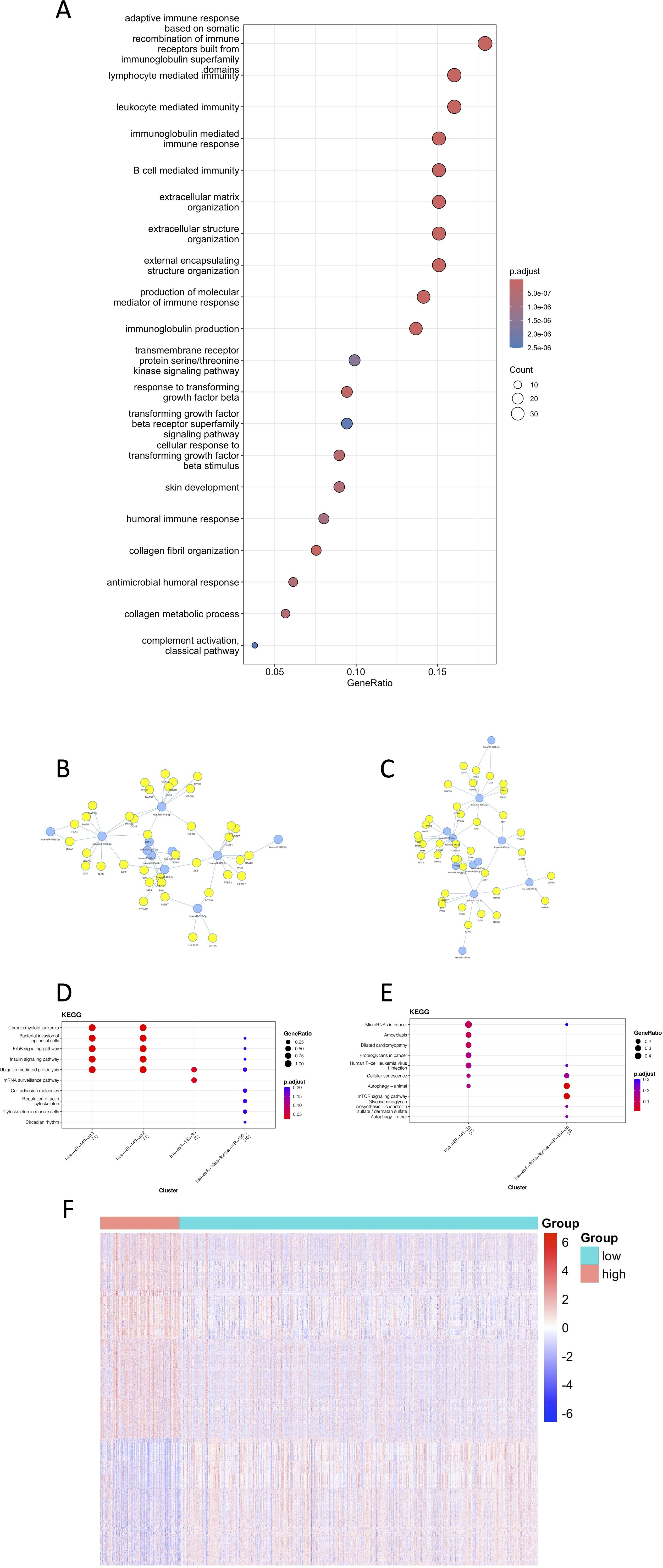 A: Dot plot showing gene ratios for immune response and collagen processes, with color indicating p-values and size indicating count. B, C: Network diagrams showing gene interactions. D, E: KEGG pathway dot plots with gene ratios and p-values for different clusters. F: Heatmap displaying expression levels across groups with a scale from blue to red.