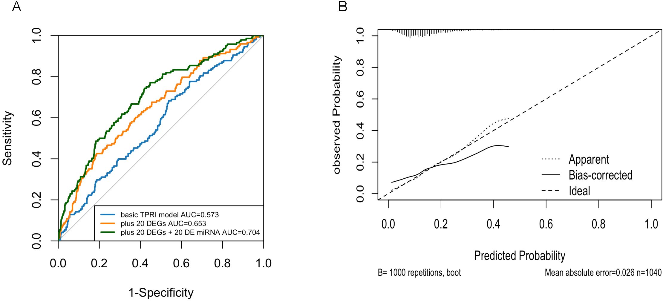 Panel A shows a Receiver Operating Characteristic (ROC) curve with three different models. The basic TPRI model has an AUC of 0.573, the model with 20 differentially expressed genes (DEGs) has an AUC of 0.653, and the model with 20 DEGs plus 20 differentially expressed microRNAs (miRNAs) has an AUC of 0.704. Panel B displays a calibration plot comparing predicted and observed probabilities using apparent, bias-corrected, and ideal lines, with a mean absolute error of 0.026 over 1040 samples.