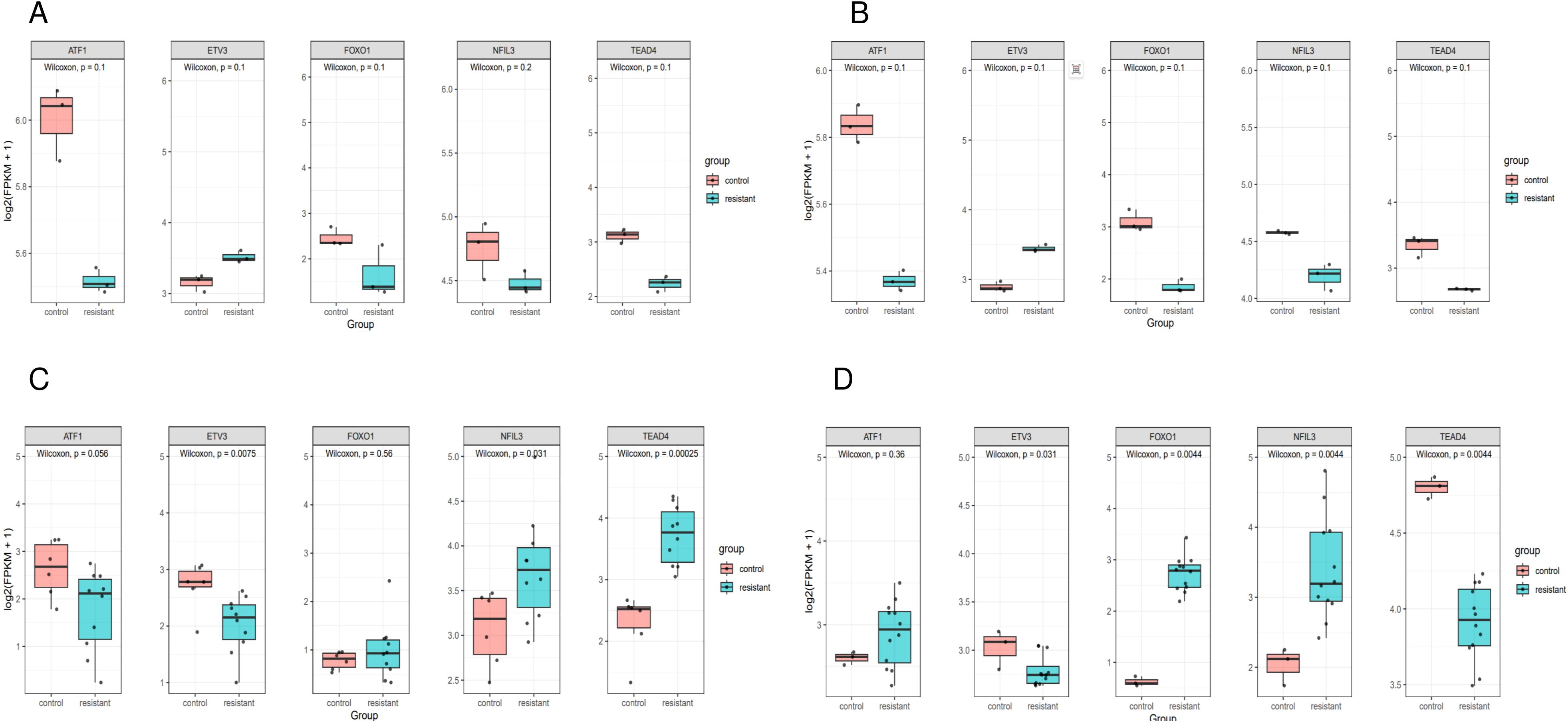 Box plots labeled A, B, C, and D each display gene expression levels for ATF1, ETV3, FOXO1, NFIL3, and TEAD4 between control and resistant groups. Each gene comparison shows statistical significance via Wilcoxon p-values, indicating variation in expression between groups.