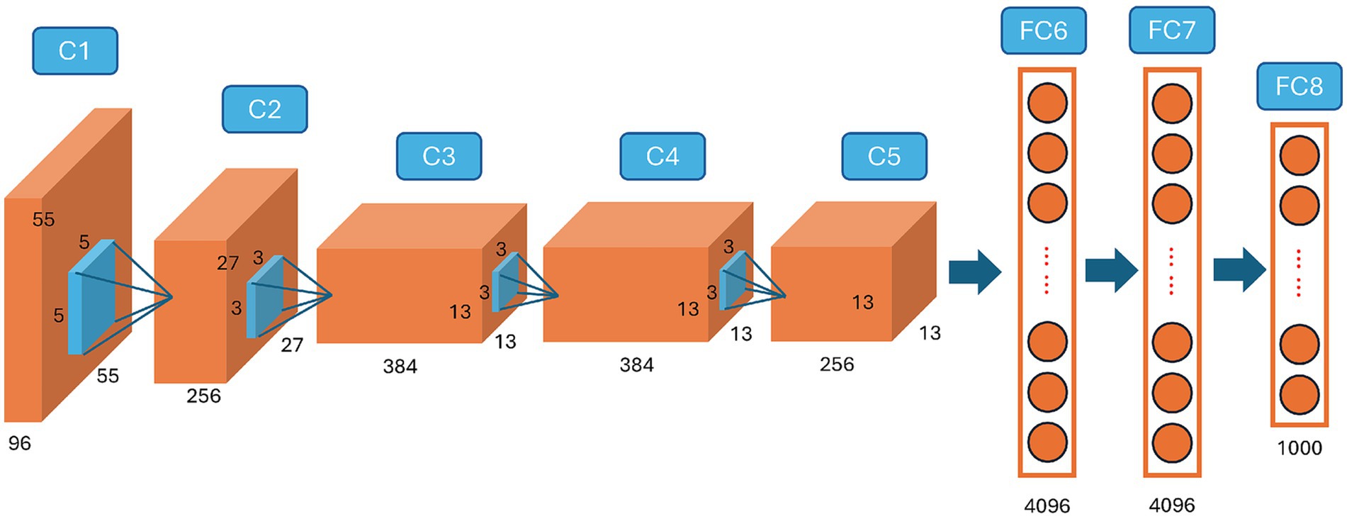 Diagram of a neural network architecture, showing layers labeled C1 to C5 followed by fully connected layers FC6 to FC8. Each layer reduces dimensions, starting with C1 at size 96x55x55 and ending with FC8 at 1000 units. Arrows indicate the flow direction.