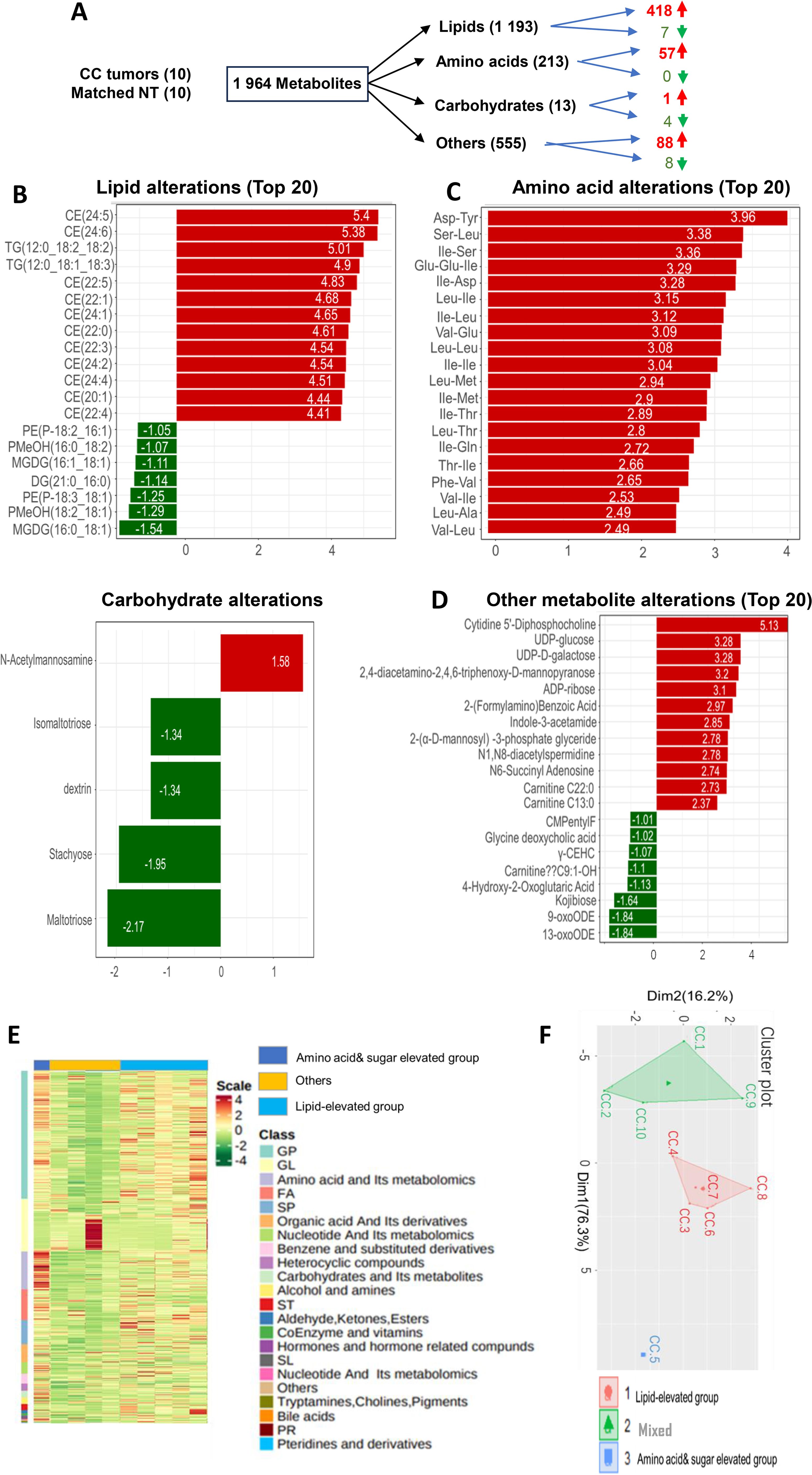 The image depicts various data visualizations related to metabolite alterations in cancer (CC) tumors and matched normal tissues (NT). Panel A shows the distribution of 1,964 metabolites among lipids, amino acids, carbohydrates, and others, indicating increases or decreases in specific categories. Panels B through D display bar graphs of top alterations in lipids, amino acids, carbohydrates, and other metabolites, with variations indicated by red (increased) or green (decreased) bars. Panel E presents a heatmap and legend for categorized metabolite classes. Panel F features a cluster plot showing different elevated groups of metabolites.