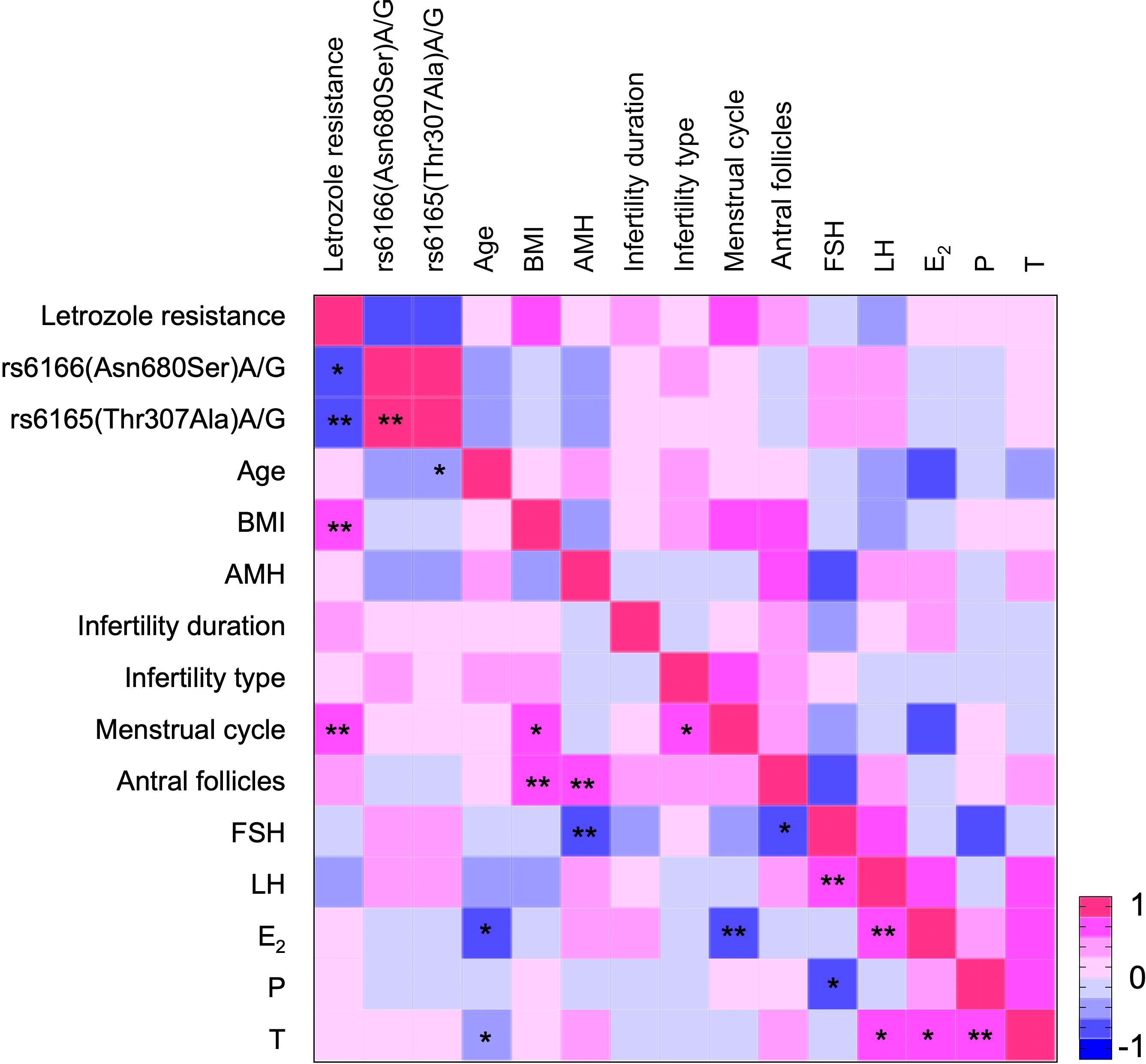 Heat map displaying correlations between variables related to letrozole resistance, genetic markers, and reproductive parameters. Color gradient ranges from blue to pink, indicating correlation strength. Significant correlations are marked with asterisks.