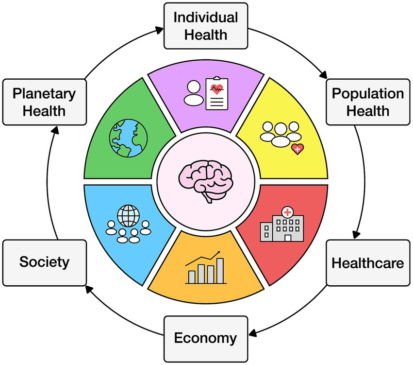 Diagram illustrating interconnected health domains. A central brain icon is surrounded by six sections: individual health, population health, healthcare, economy, society, and planetary health. Arrows indicate the cyclical interaction between these domains, emphasizing their interdependence.